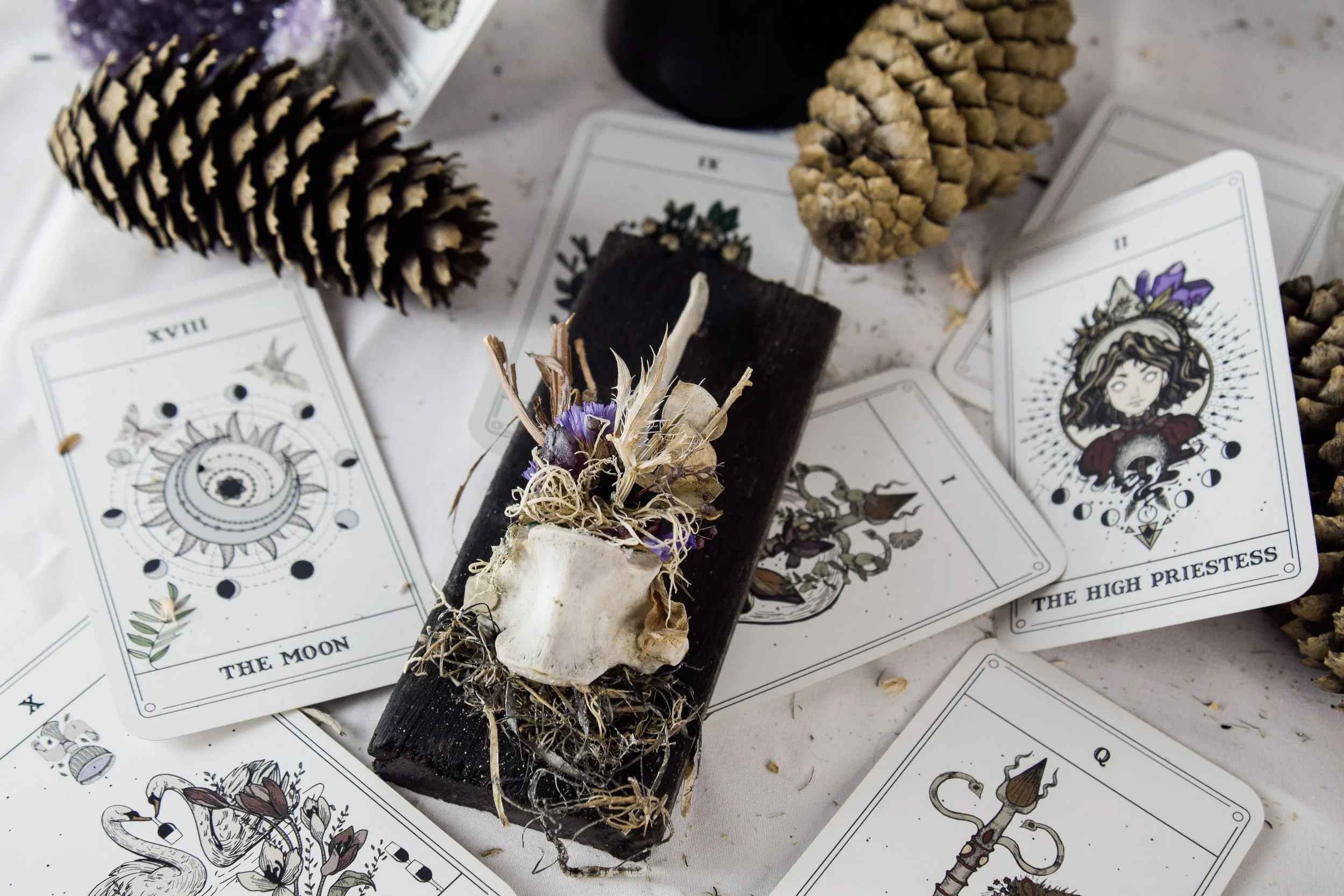Bonecraft by Bryanna Love - ethically sourced oddity art and decor collection handmade in Southwest Virginia