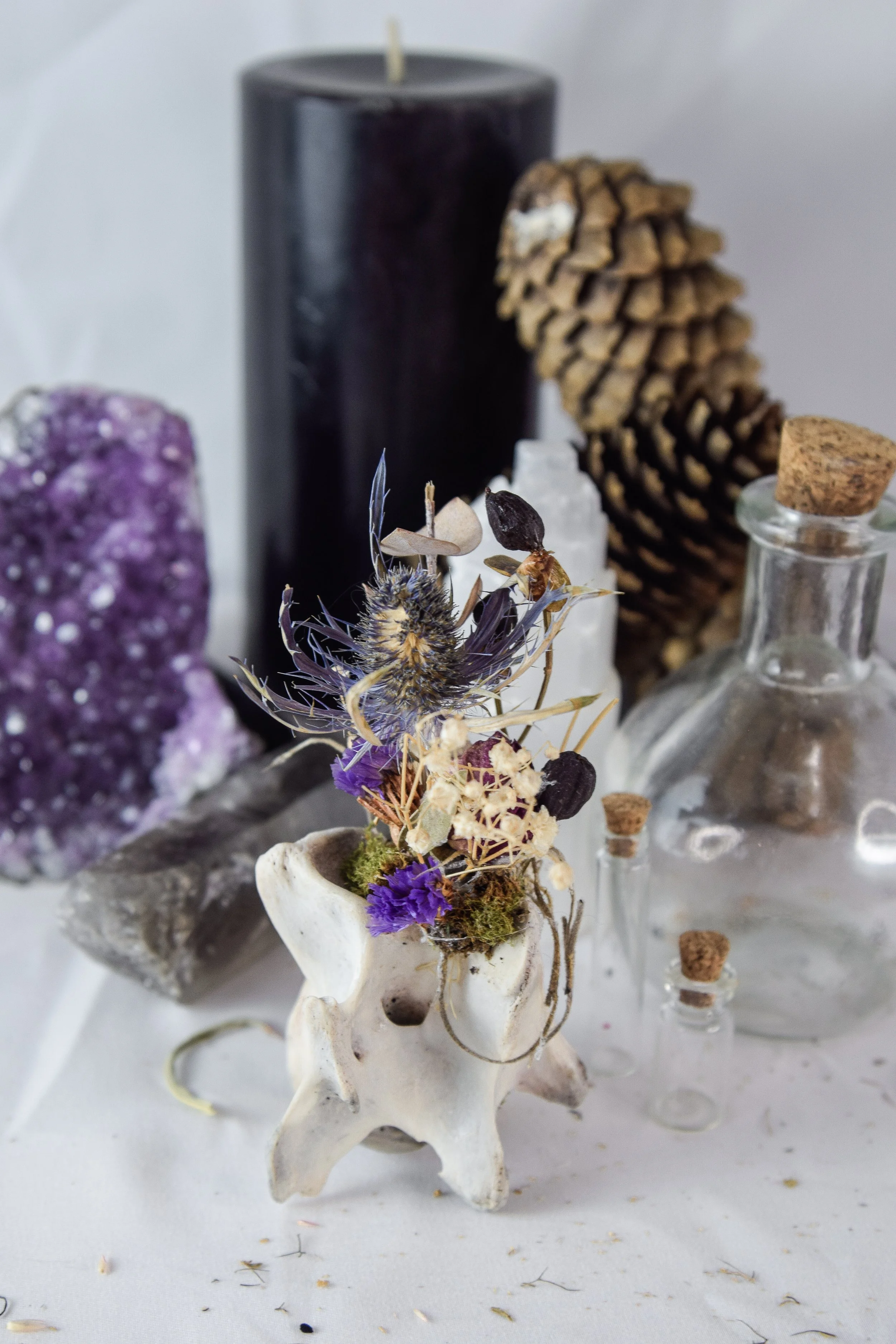 Bonecraft by Bryanna Love - ethically sourced oddity art and decor collection handmade in Southwest Virginia