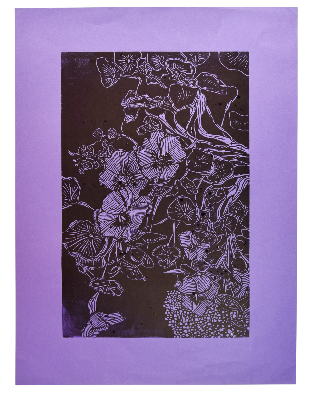 "Nasturtium" Limited Edition Linocut Print - Scallywag Letterpress