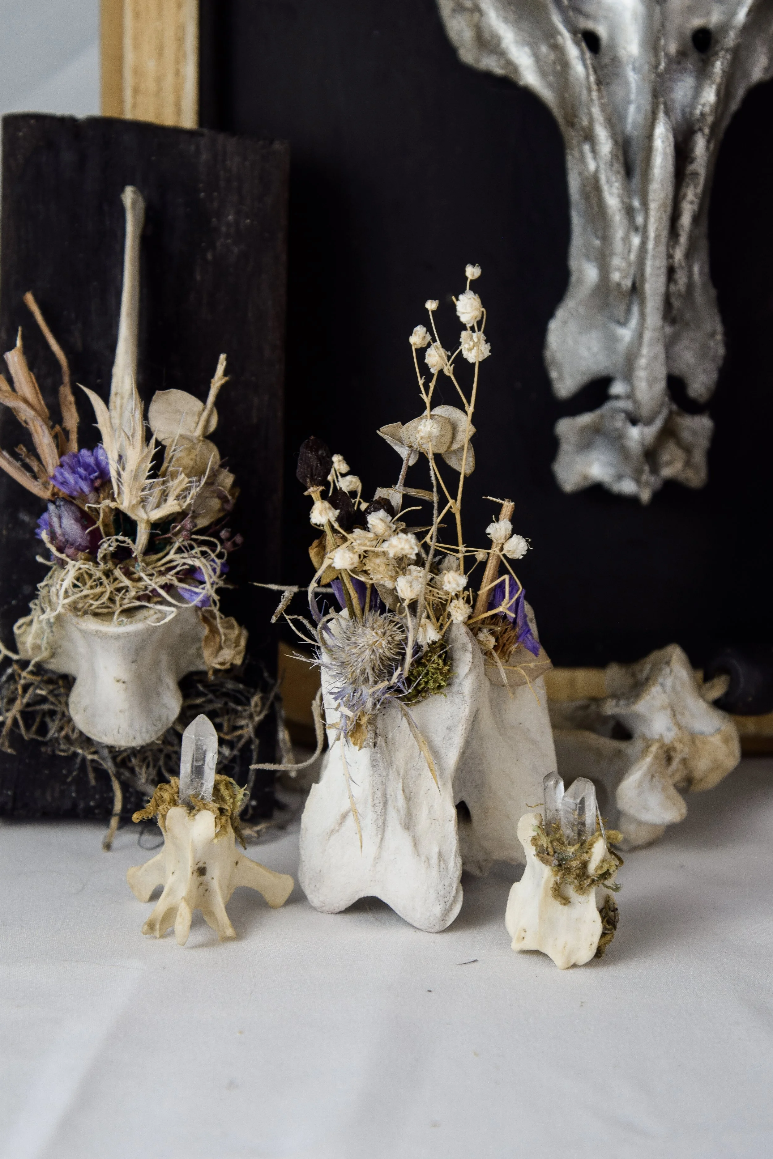 Bonecraft by Bryanna Love - ethically sourced oddity art and decor collection handmade in Southwest Virginia