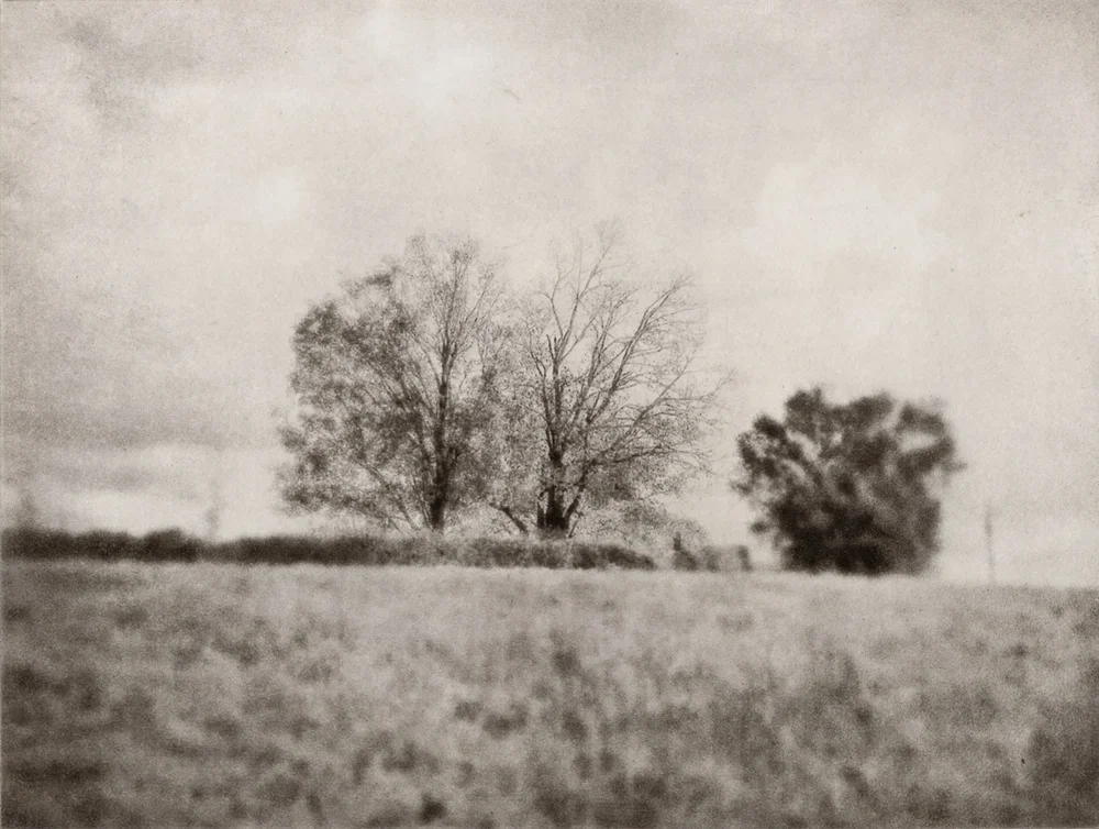 "I81 Verona, Virginia - Trees" Photopolymer Gravure by L.S. King, 2017