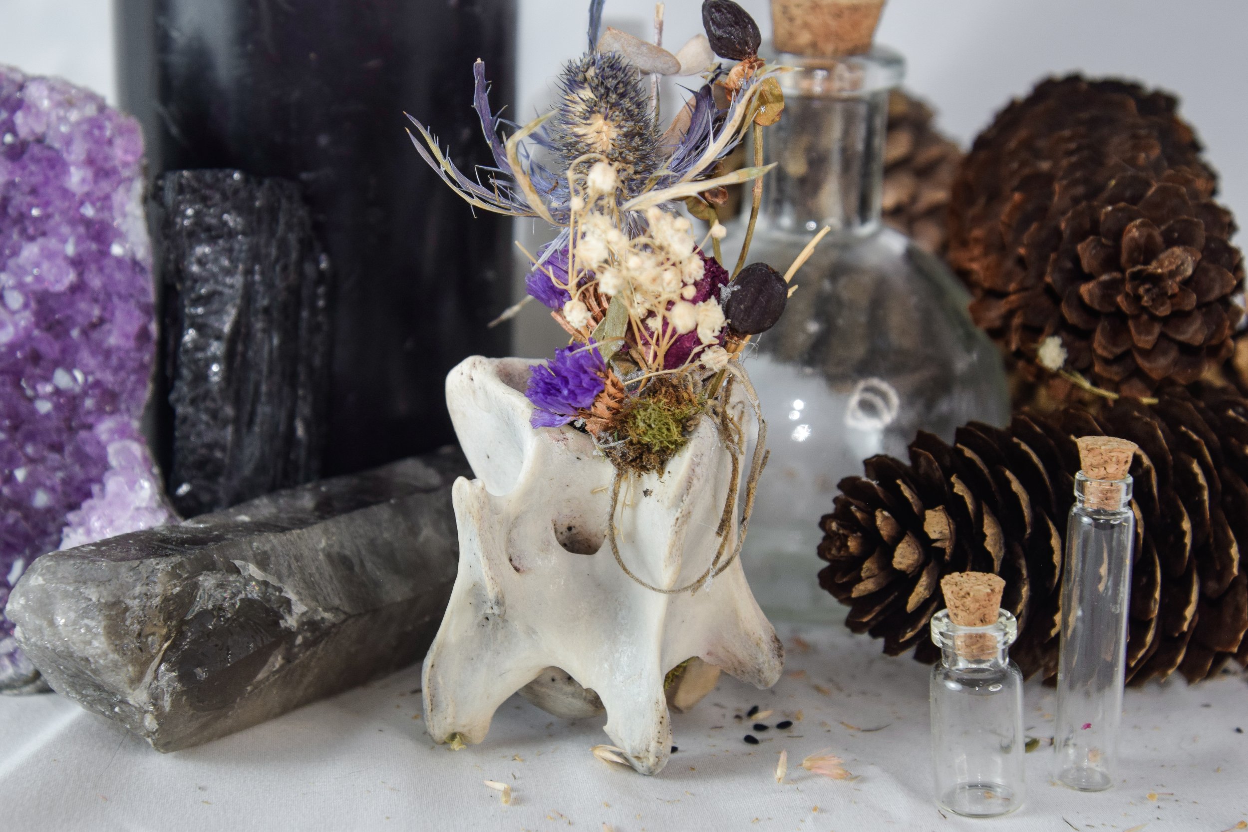 Bonecraft by Bryanna Love - ethically sourced oddity art and decor collection handmade in Southwest Virginia