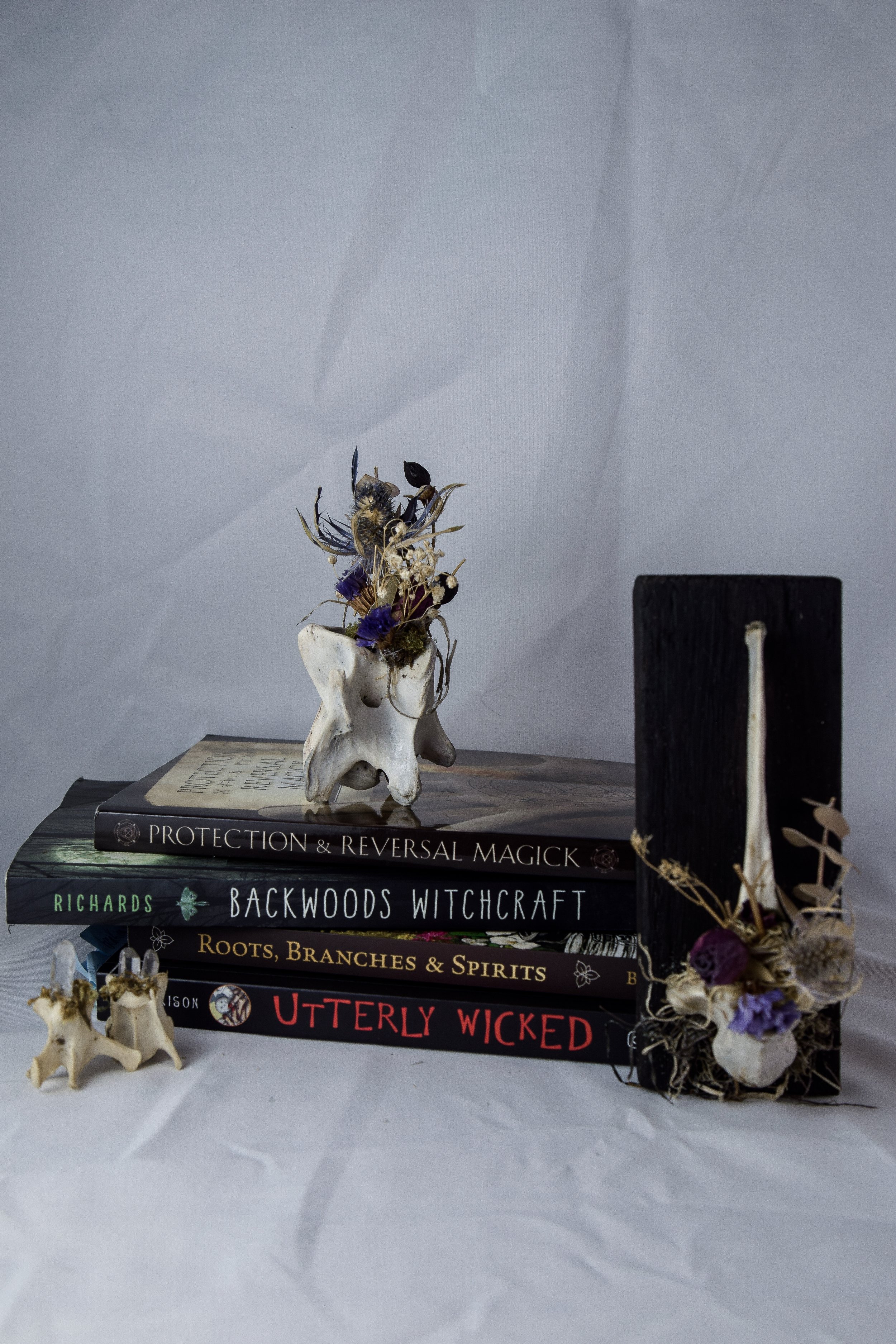 Bonecraft by Bryanna Love - ethically sourced oddity art and decor collection handmade in Southwest Virginia