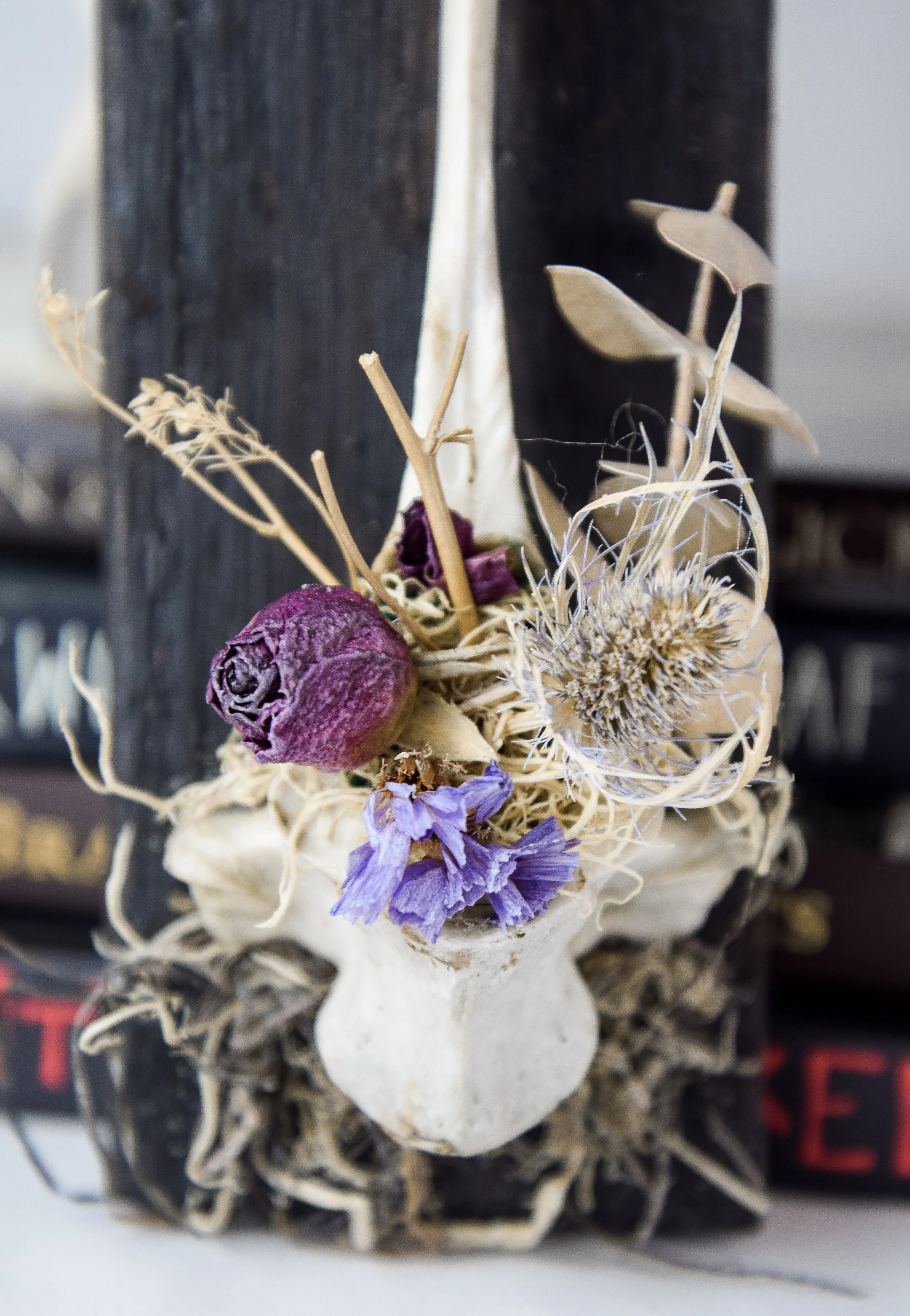 Bonecraft by Bryanna Love - ethically sourced oddity art and decor collection handmade in Southwest Virginia
