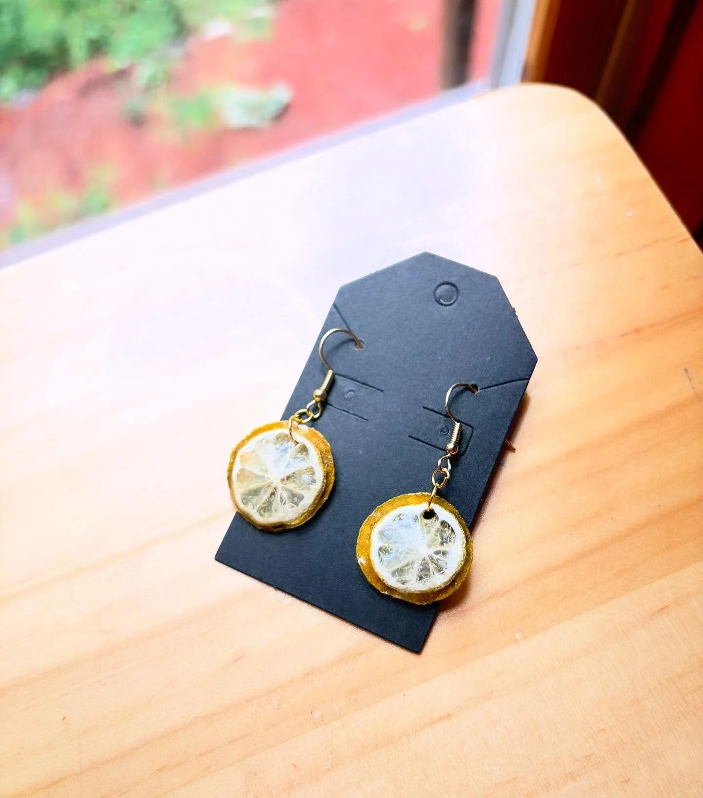 Dehydrated Citrus Slice Earrings - Flux N Flora by Taylor Ingram