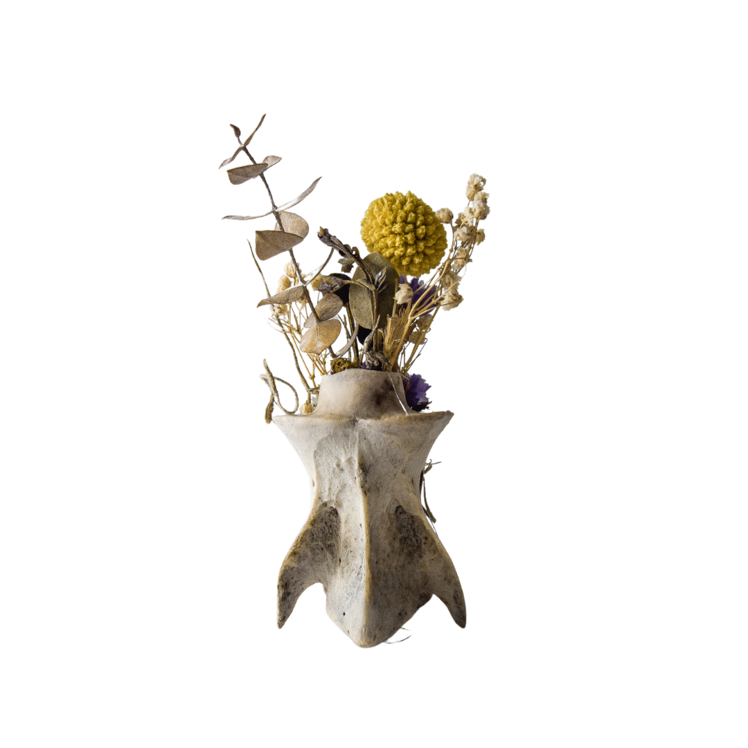 Deer Vertebrae Vase - Bonecraft