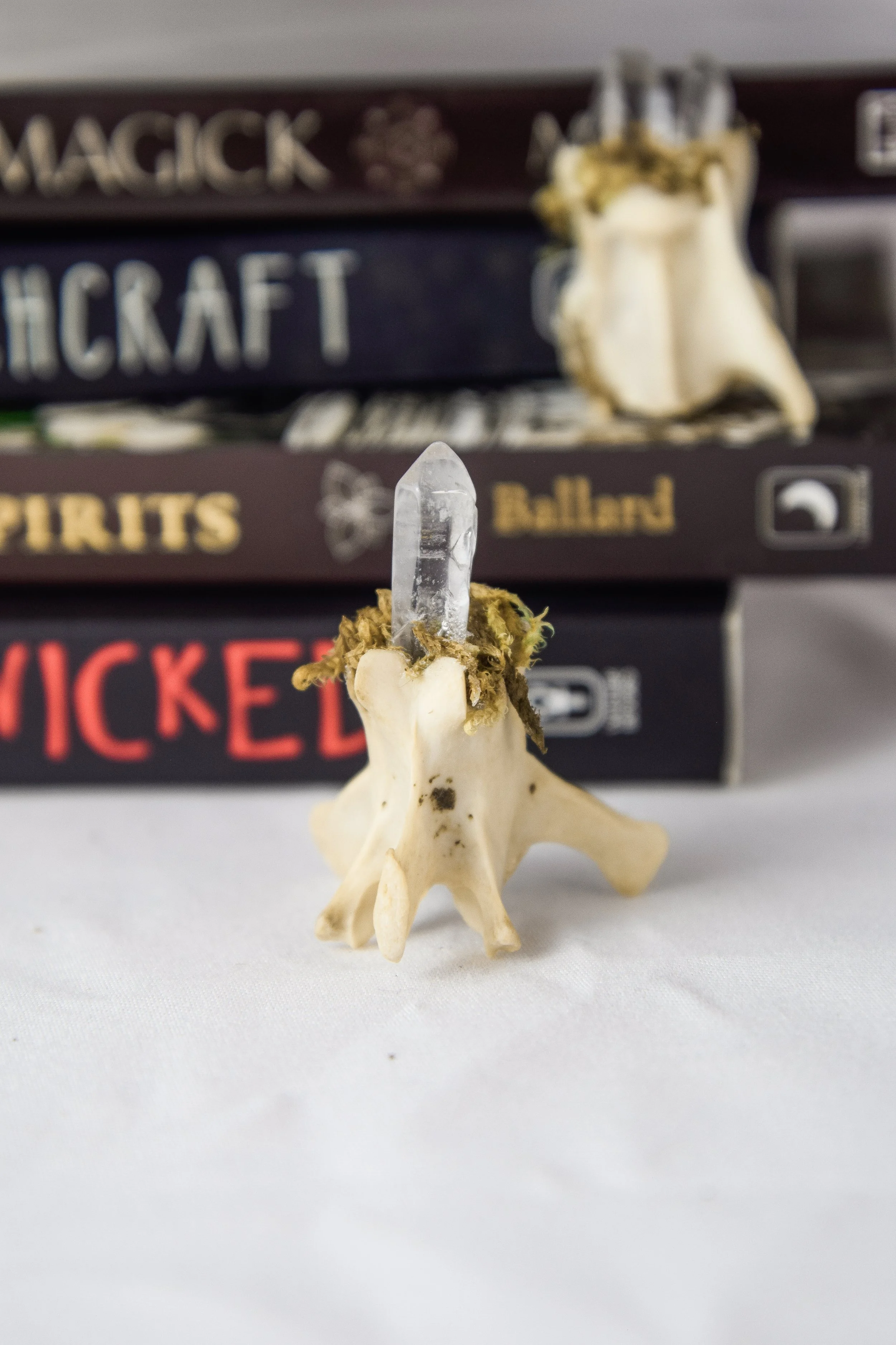 Bonecraft by Bryanna Love - ethically sourced oddity art and decor collection handmade in Southwest Virginia