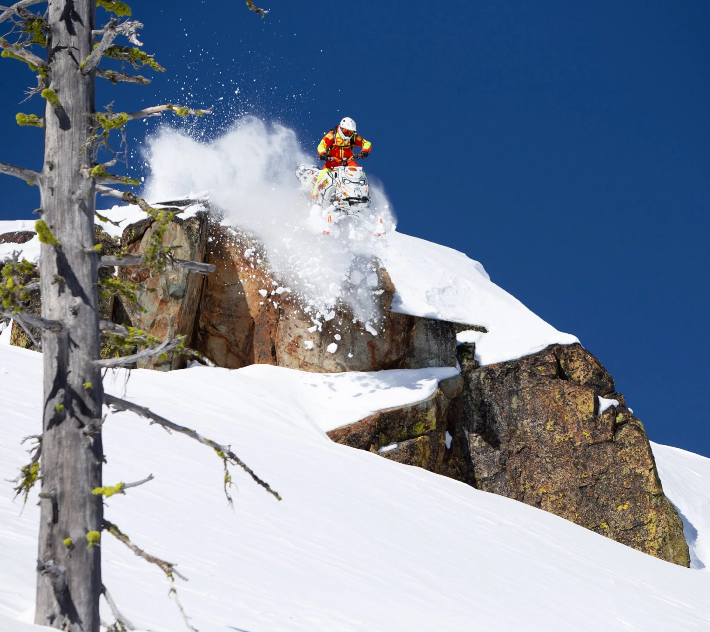 A person wearing colorful winter gear and a helmet riding a snowmobile down a snowy mountain slope, next to a tall, leafless tree, with a clear blue sky in the background.