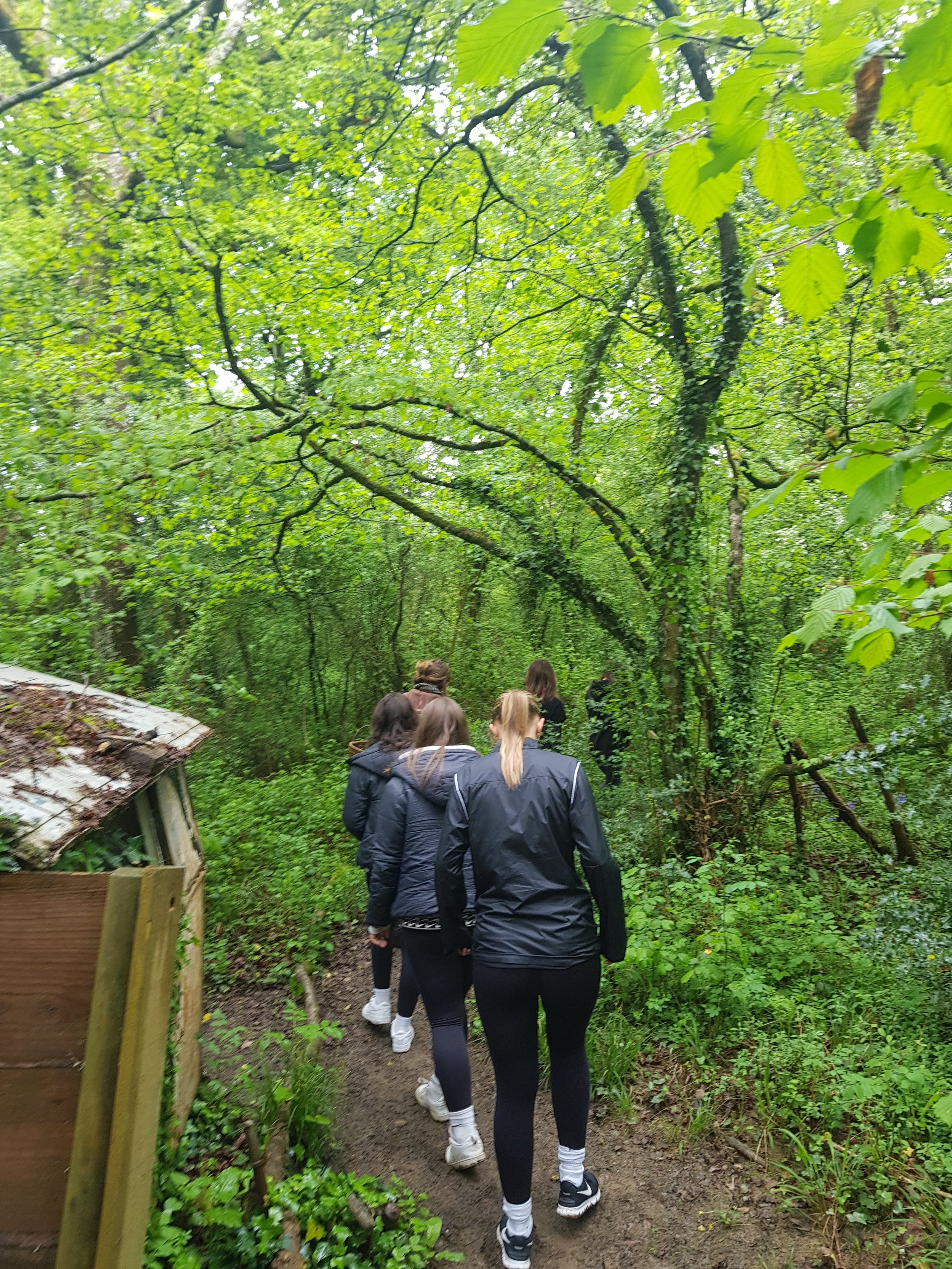 Group of girls walking along a forest trail surrounded by lush green trees and vegetation.