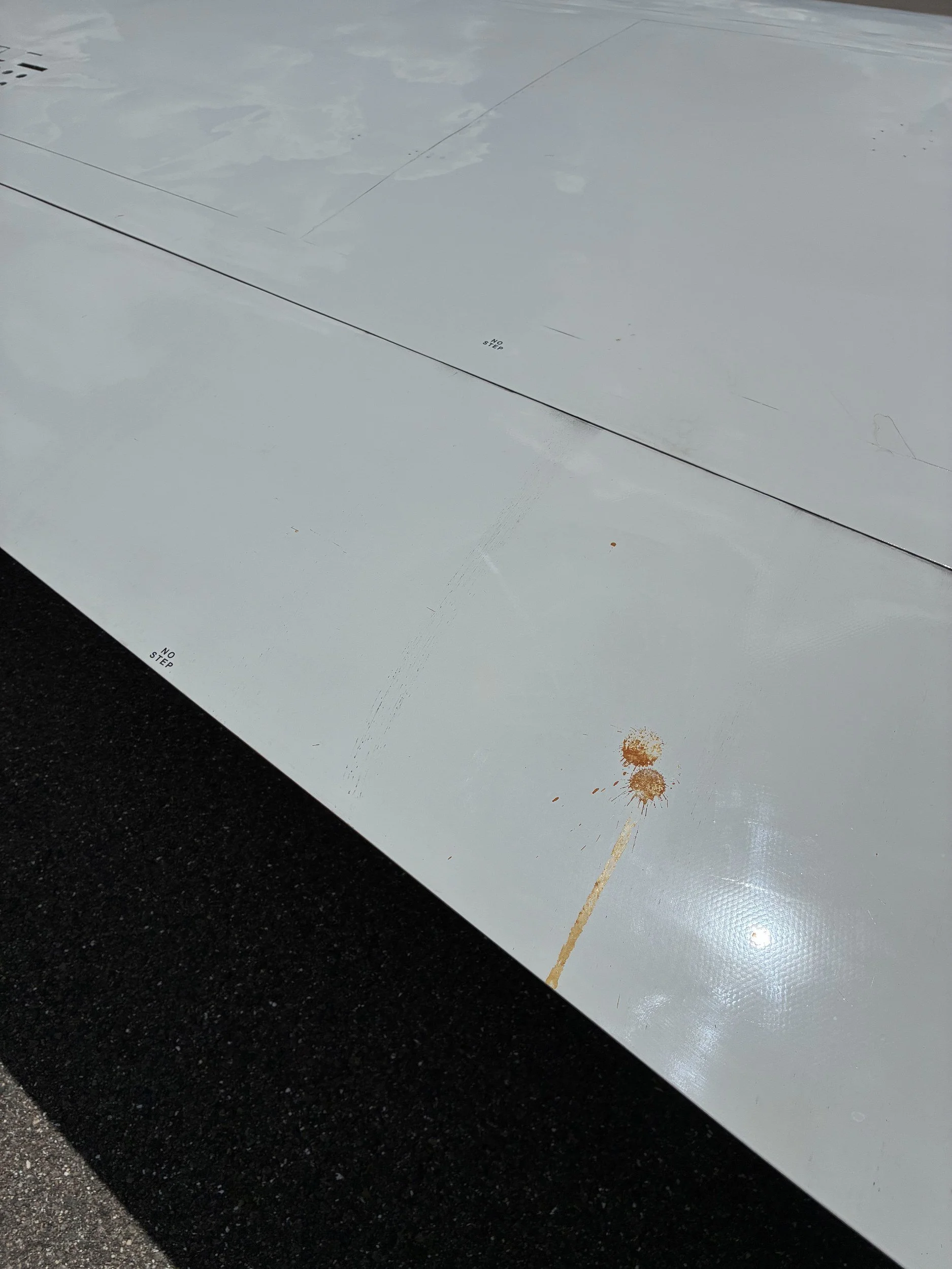 citation-ii-wing-bug-residue.jpg