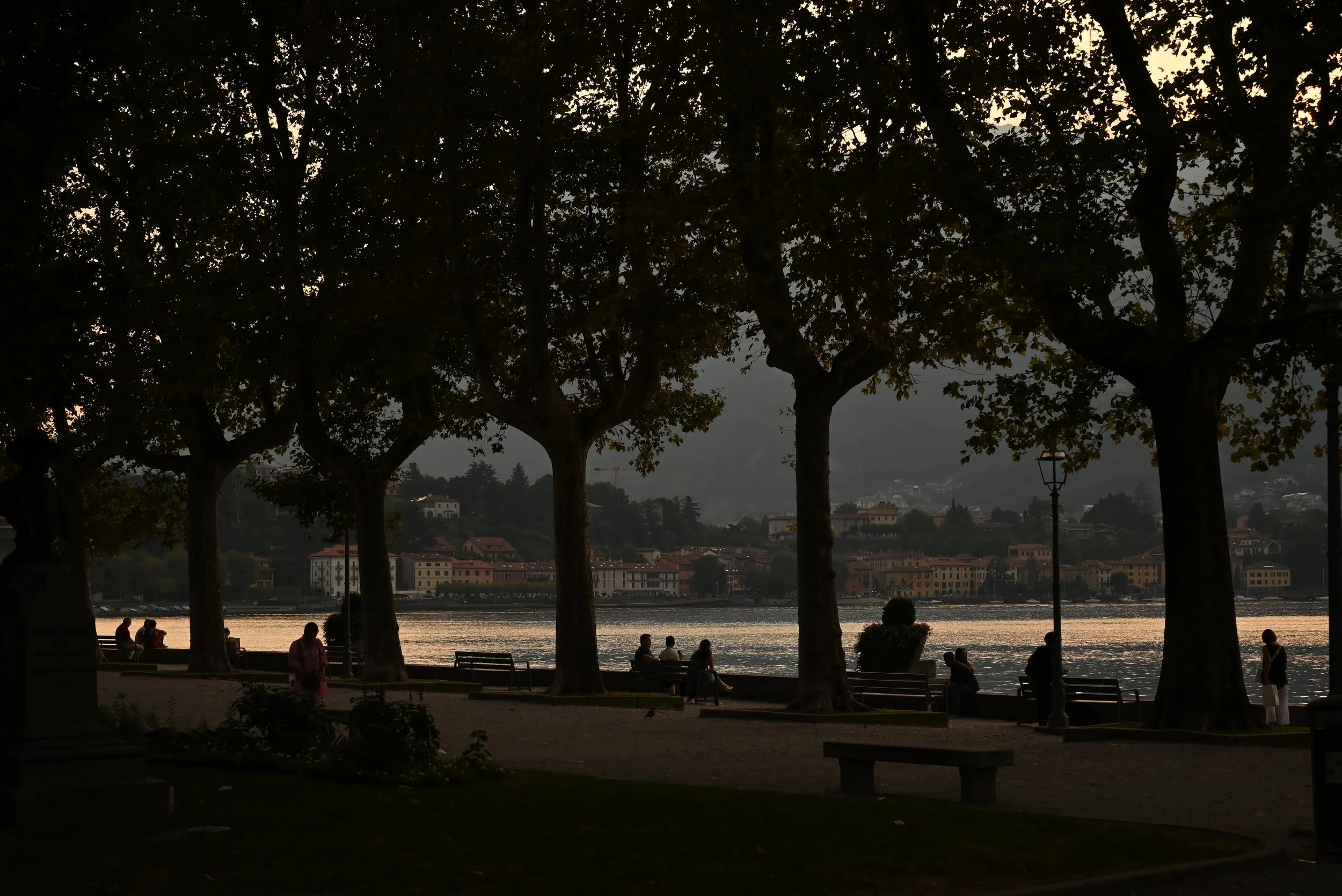 DSC_8460.JPG