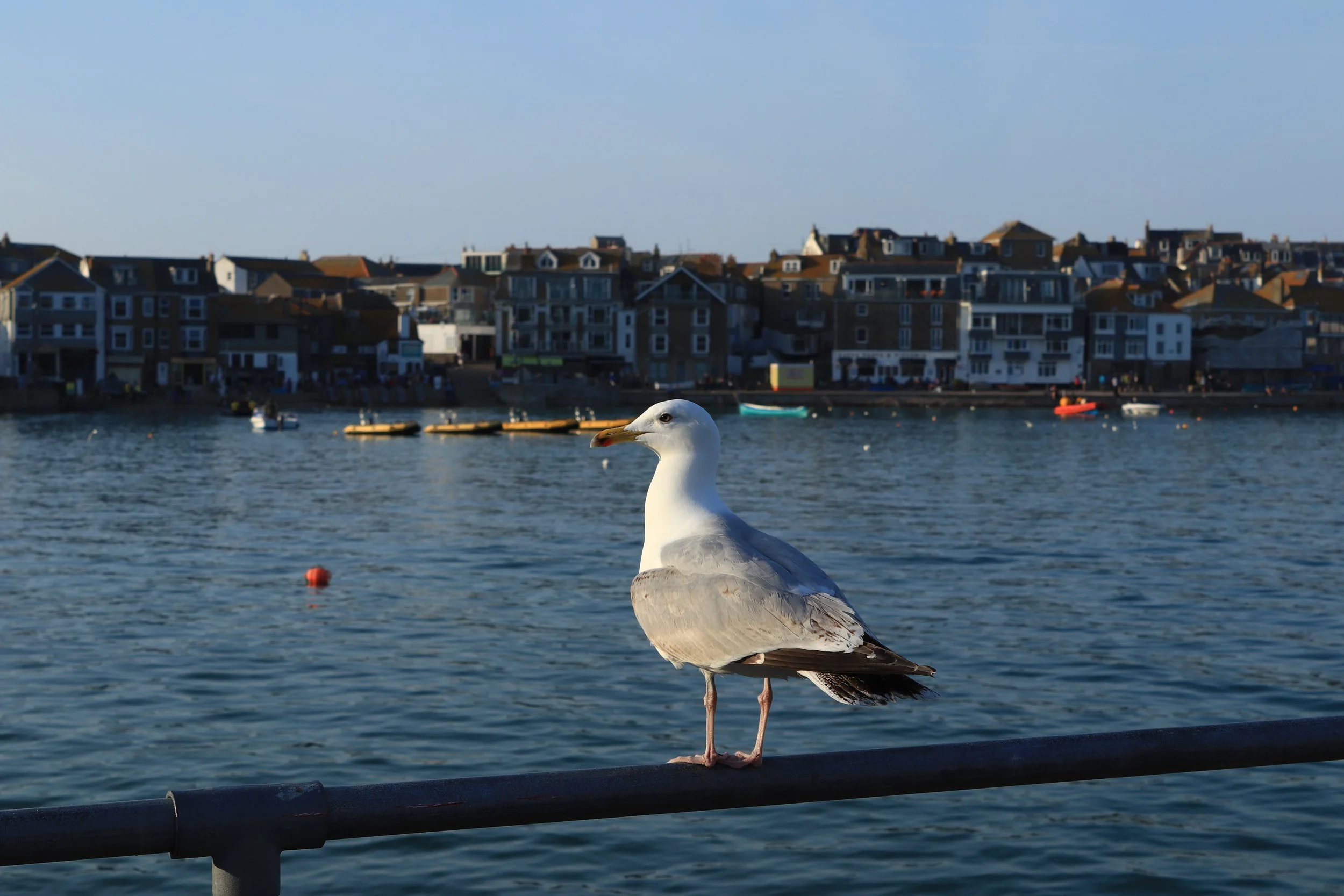 IMG_9723.JPG