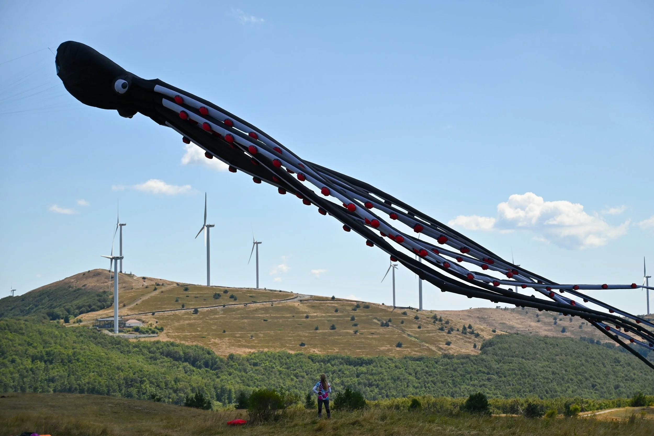 Buzludzha Kites-1.jpg