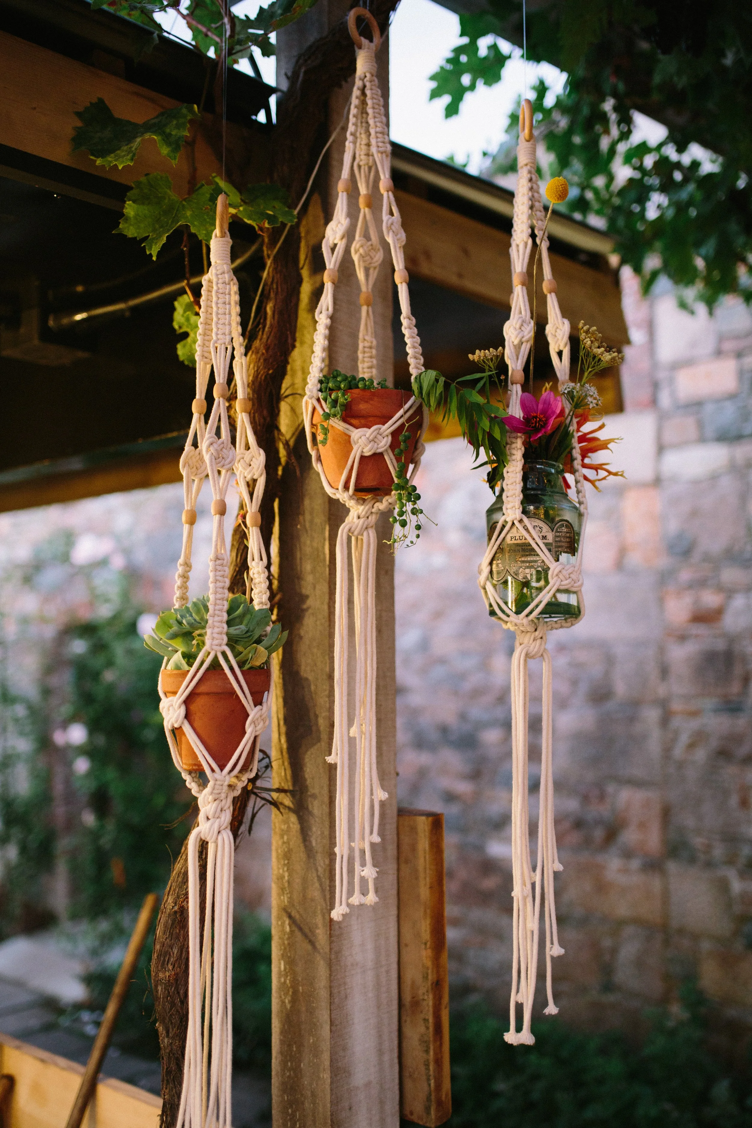 Macramé plant hanger