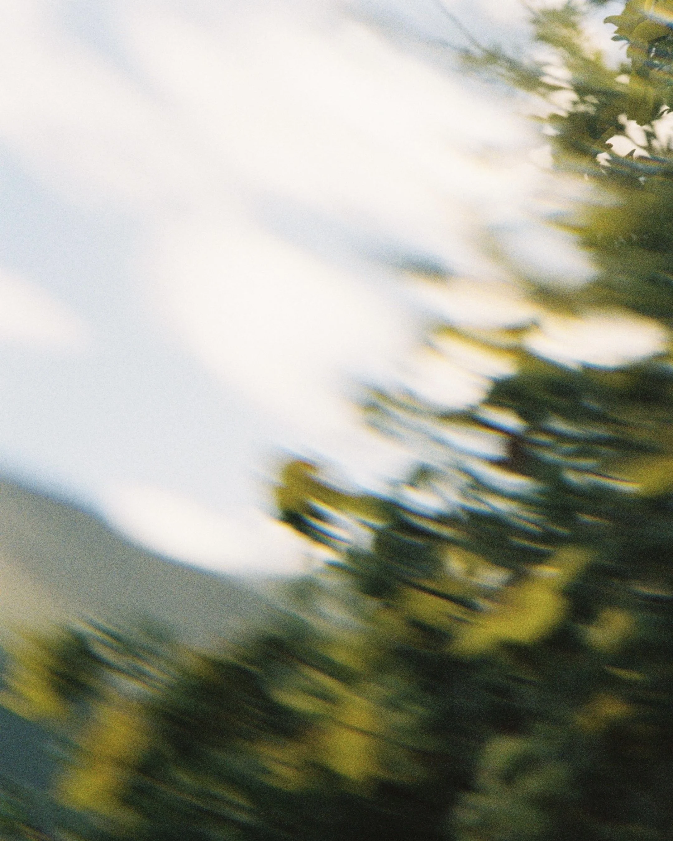 SCRL_0320.JPG