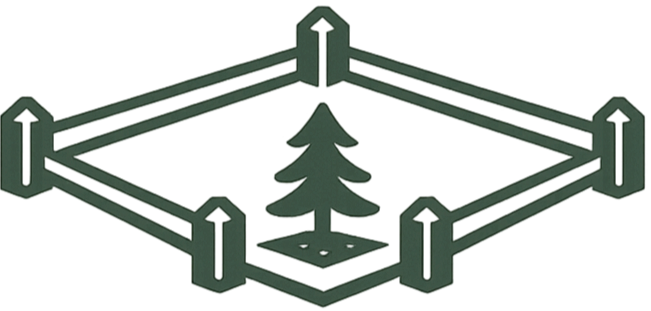 A graphic of a squirrel in a green geometric framework with a pine tree silhouette inside.