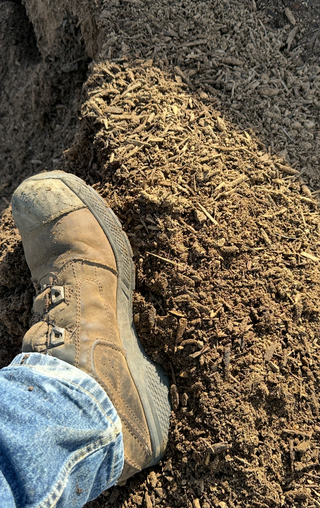 A person's foot in a worn tan work boot stepping on dry, loose soil with small sticks and debris, wearing blue jeans.