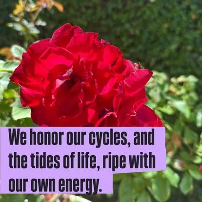 Close-up of a red flower with a purple overlay containing an inspirational quote about honoring cycles and tides of life.