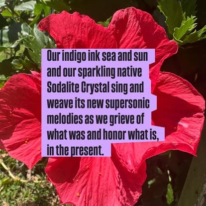 A large red flower with a purple text overlay containing a poem about indigo ink, the sea, sun, native Sodalite crystal, and honoring the present.