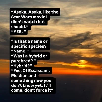 Sunset over ocean with clouds and a text conversation about Asoka, Star Wars, and hybrid species.