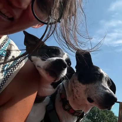 Person smiling with two black and white dogs outdoors under a blue sky.