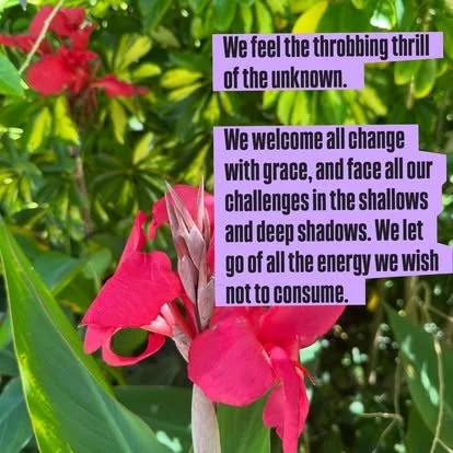 Red flower surrounded by green leaves with purple text boxes containing lyrics about embracing change, facing challenges, and letting go of energy.