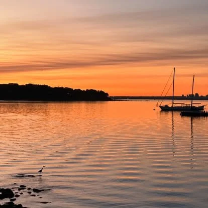 Sunset over a calm body of water with sailboats and a shoreline with trees in the distance.