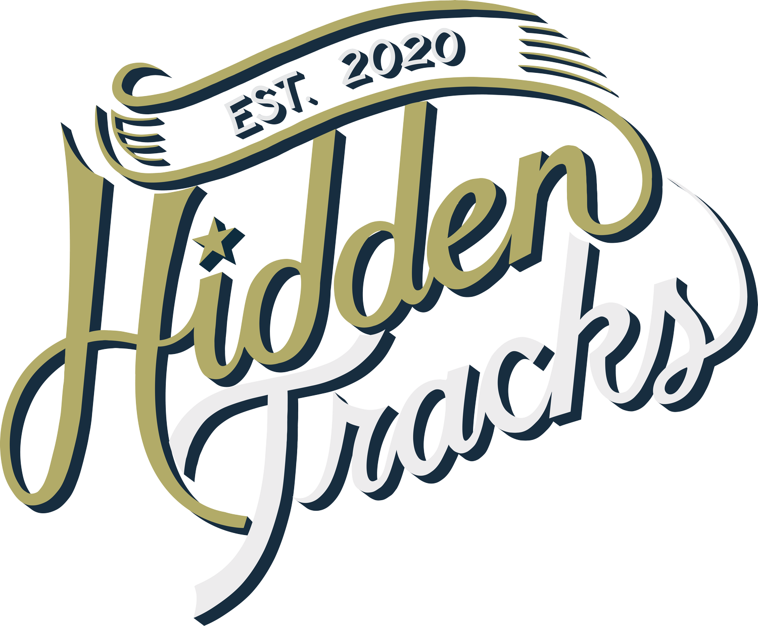 Hidden Tracks