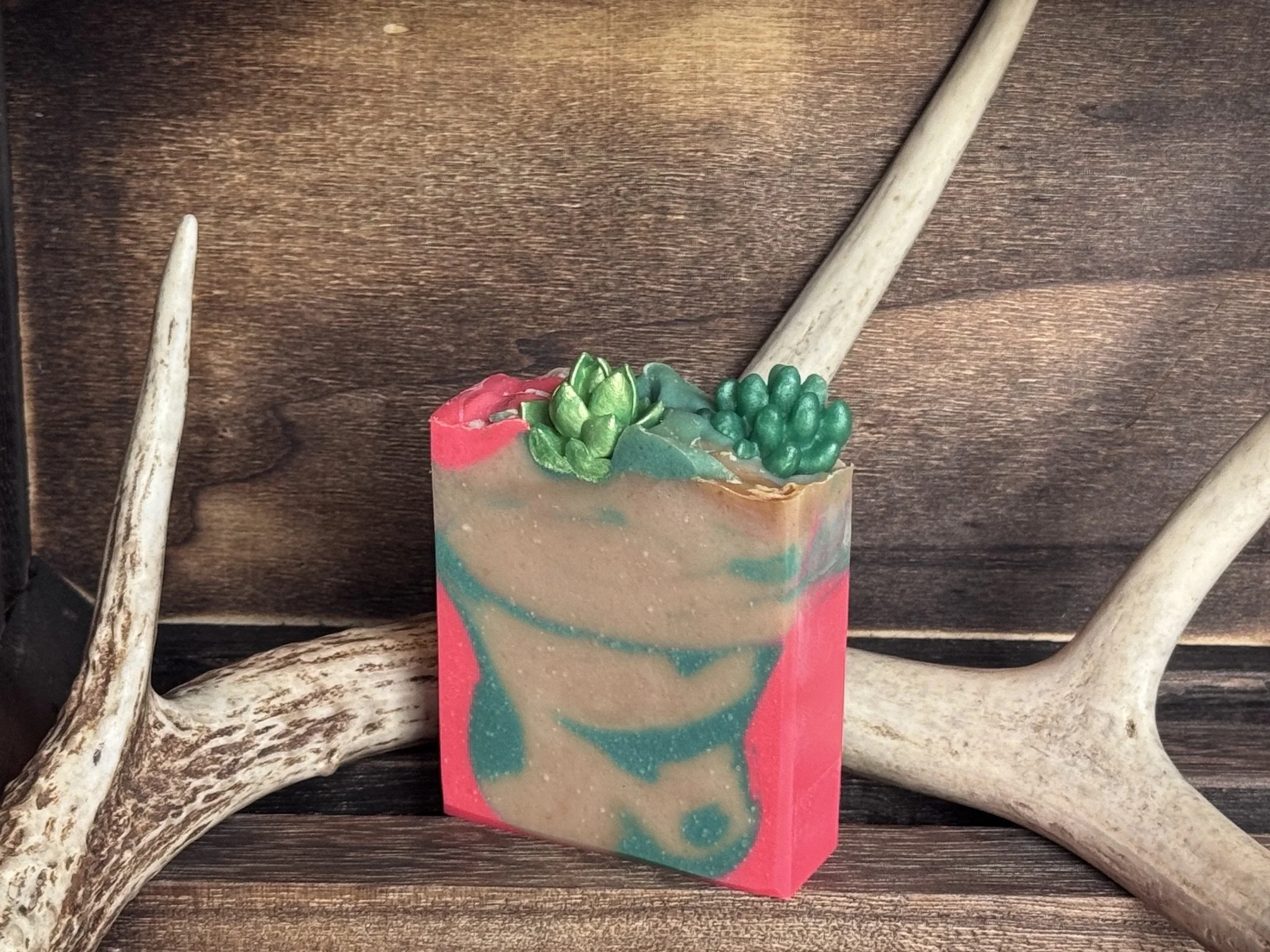 Baja Cactus Blossom (type)
