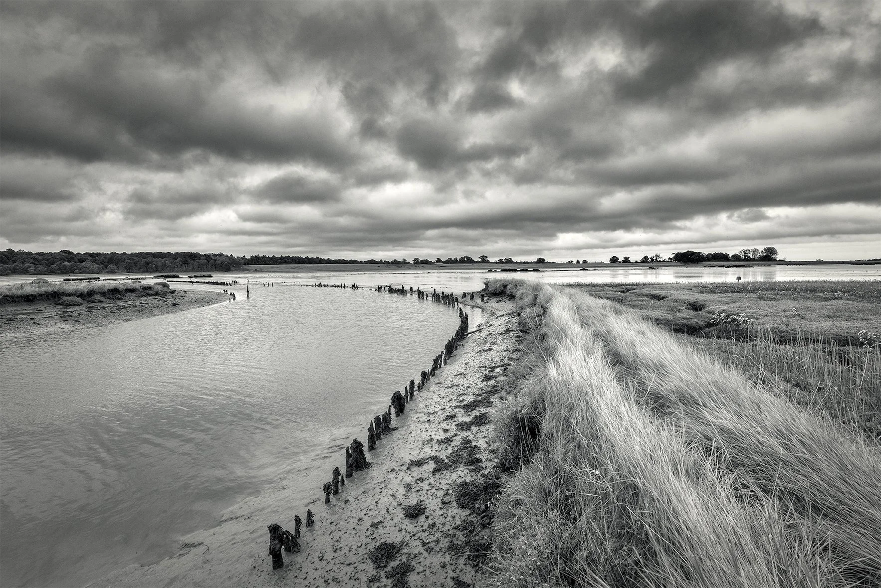 Walberswick Nature Resrve.jpg