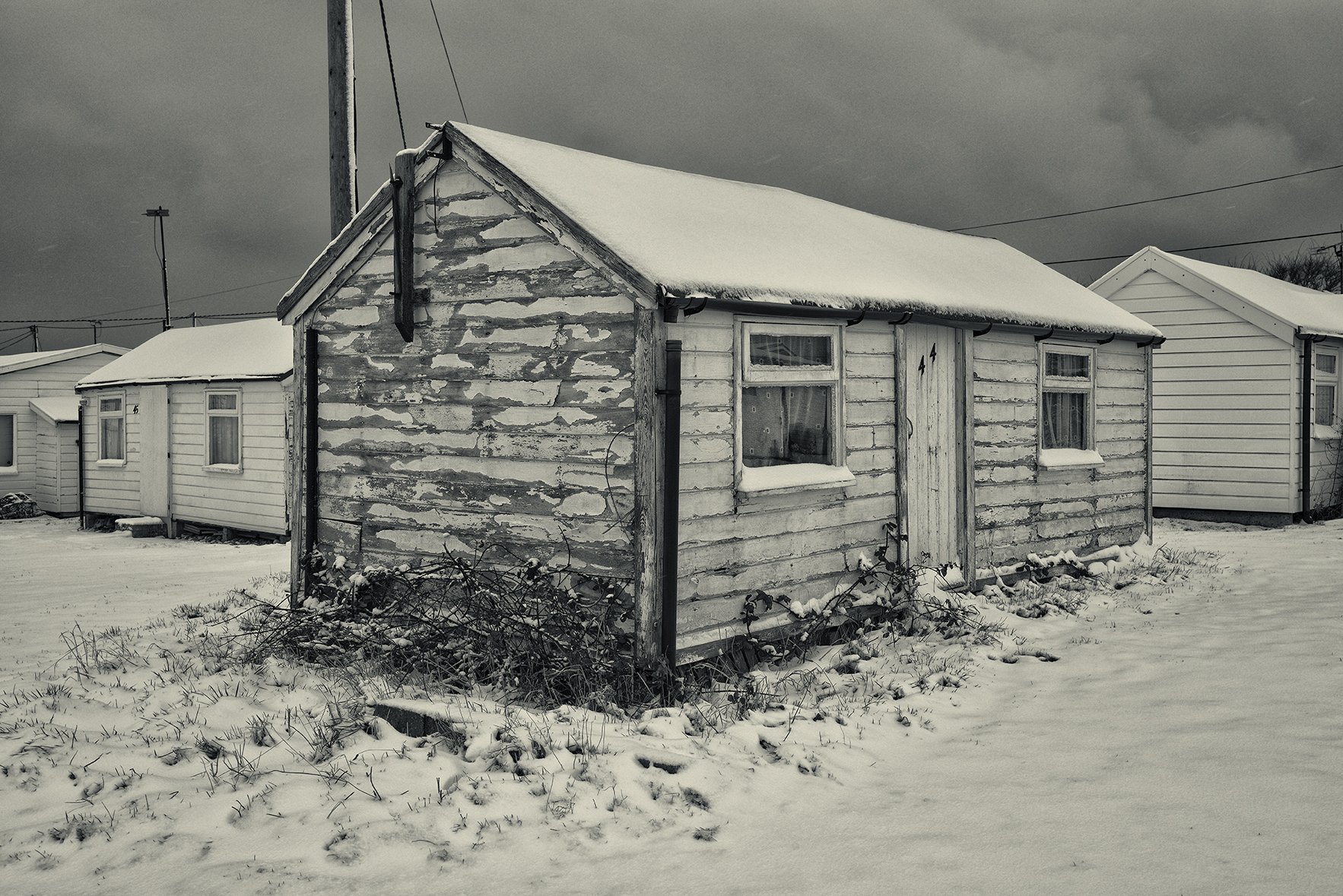 Shed 44 winter02.jpg