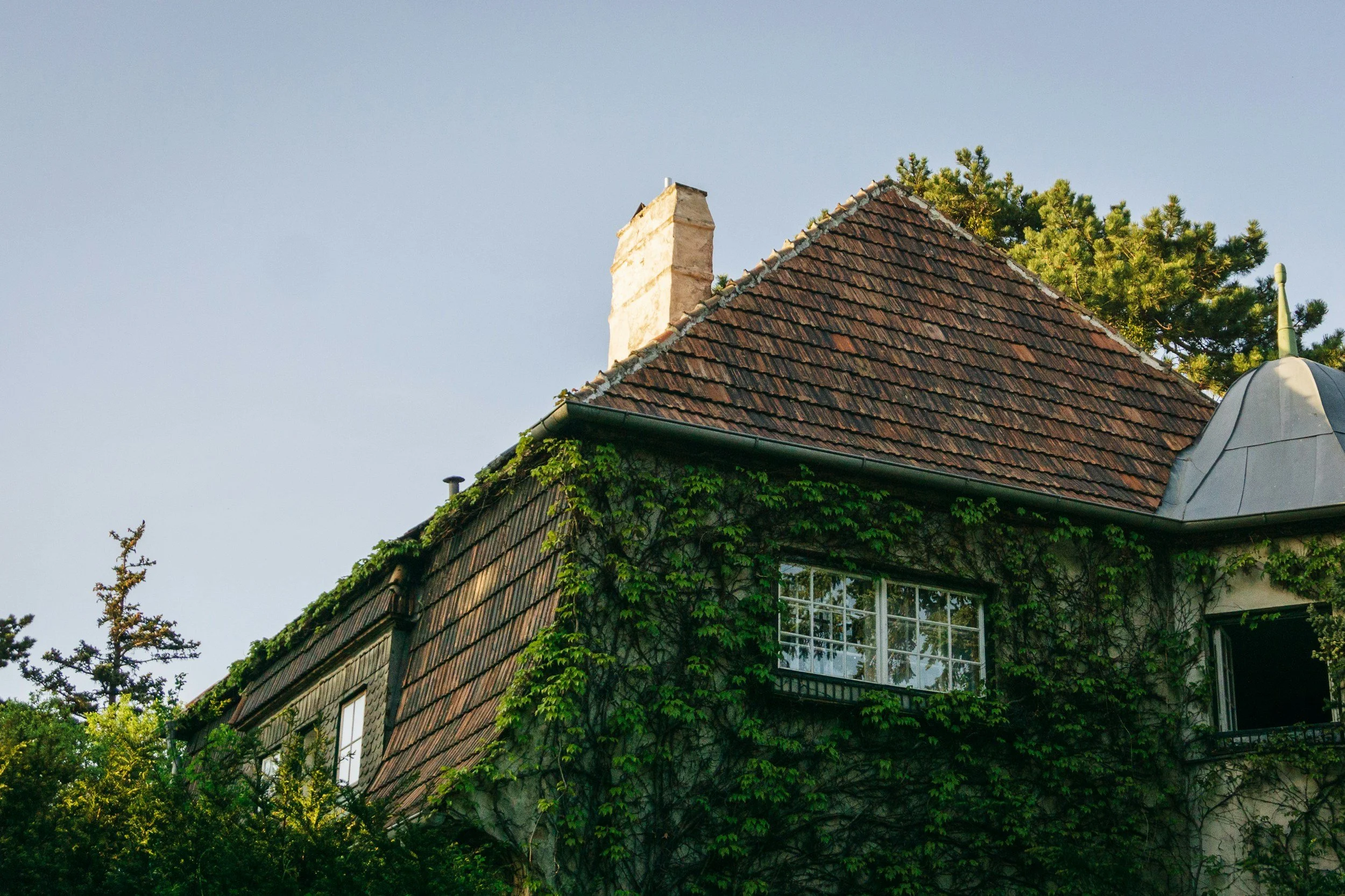 A house with a steep tile roof, chimney, and large window, partially covered with green vines, surrounded by trees, under a clear blue sky.