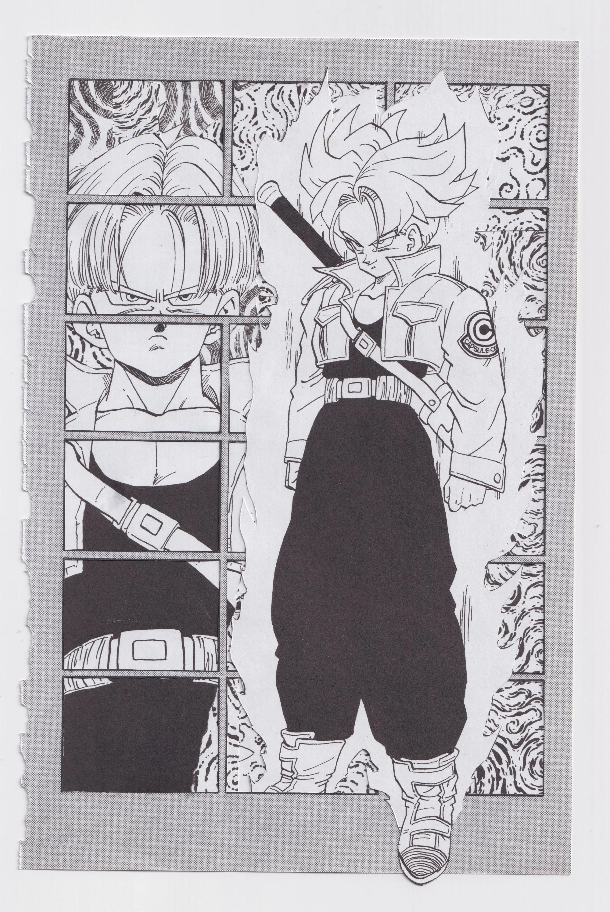 dbzrip 002.jpg