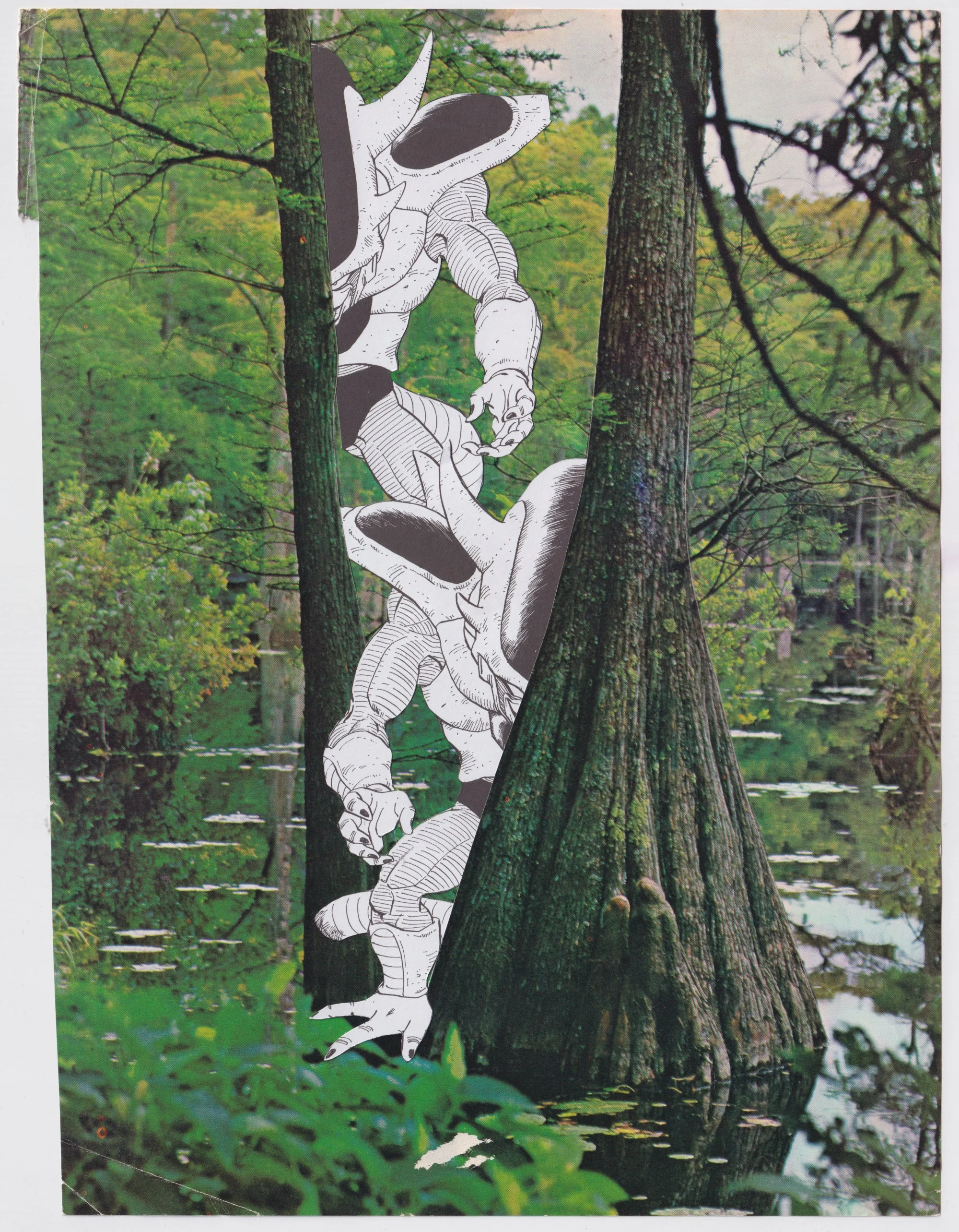 9.75” x 12.25”
2024