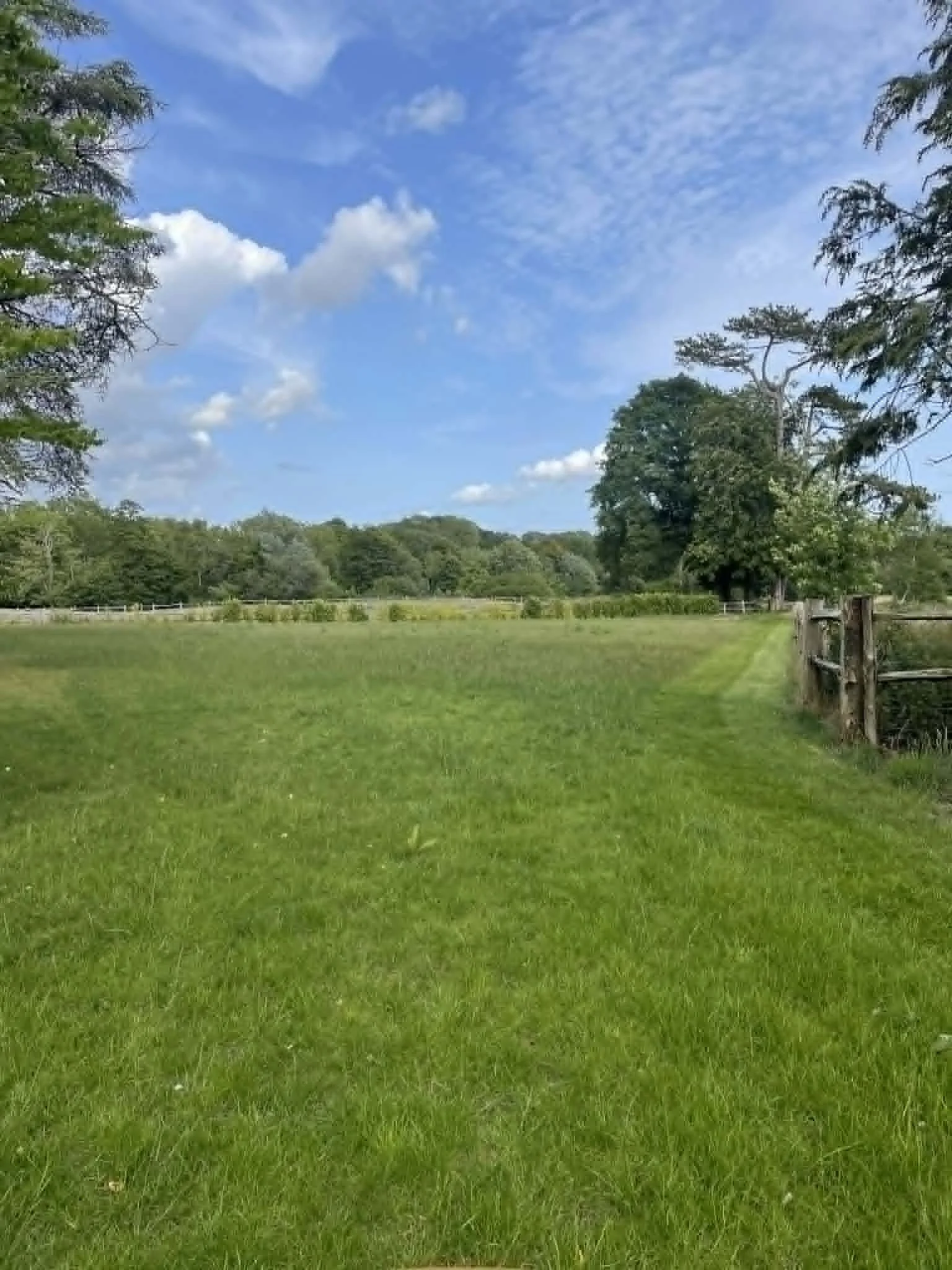 Open grassy field with a fence on the right and trees in the background under a partly cloudy sky.lawn mowing West Sussex