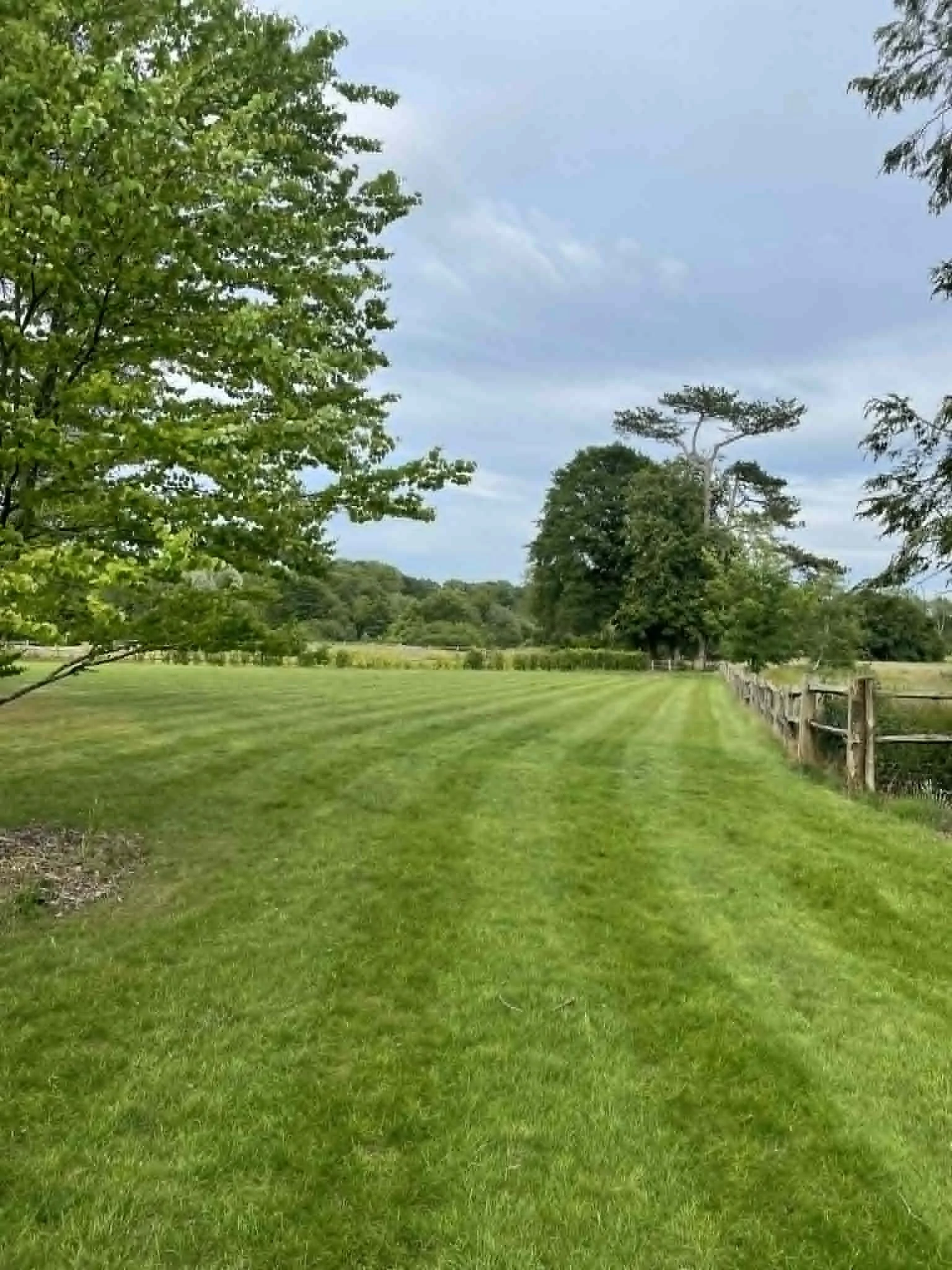 A lush green lawn with a wooden fence on the right, trees on the left and in the background, and a cloudy sky overhead. lawn mowing West Sussex