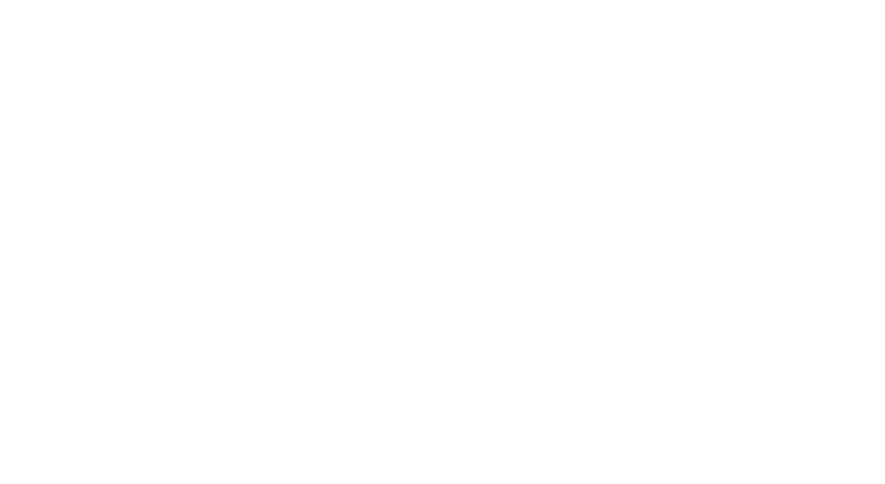 American Horizon Project