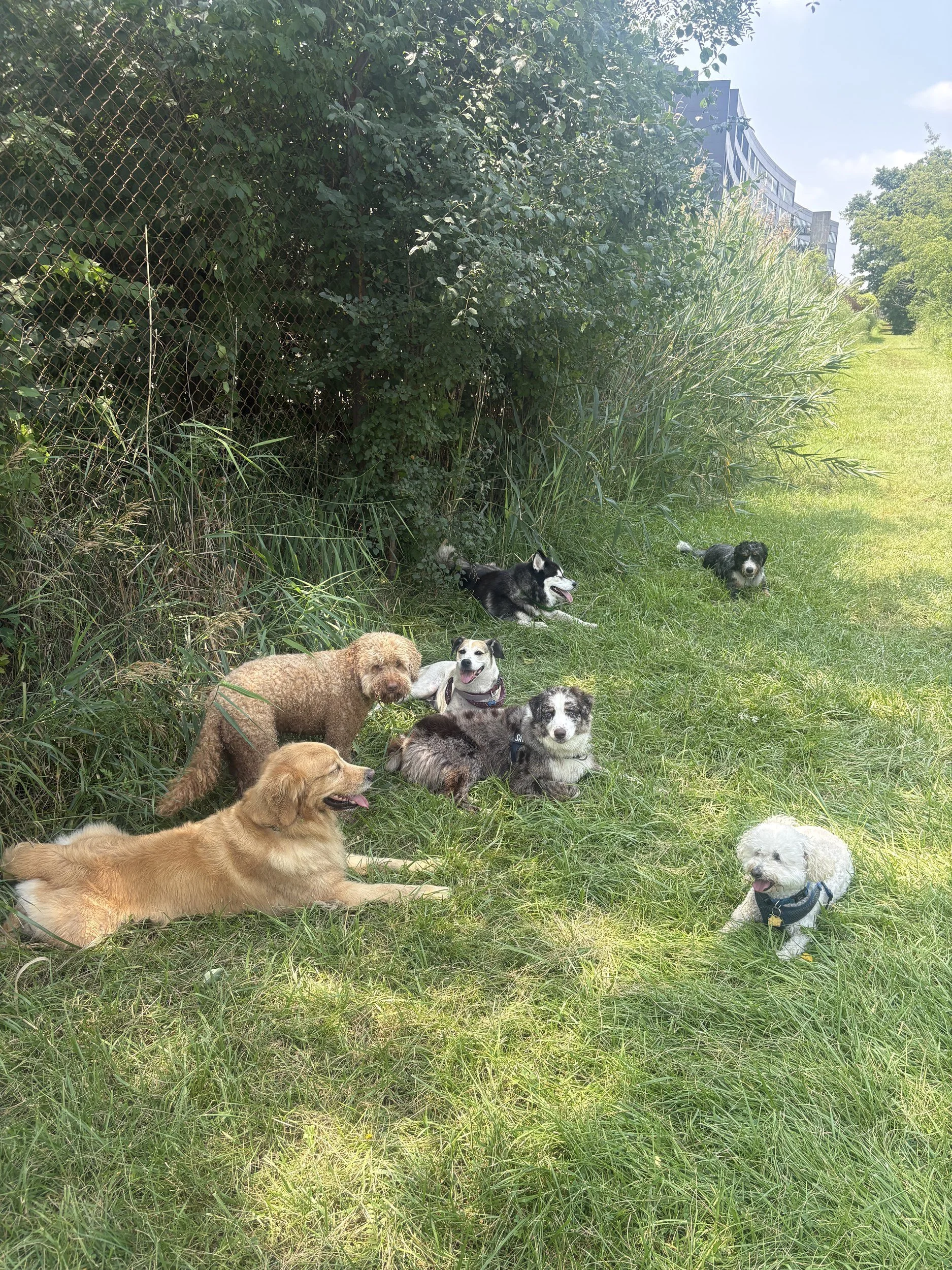 chicago-adventure-pack-photo-jul-28-2026-12-56-32-pm.jpg