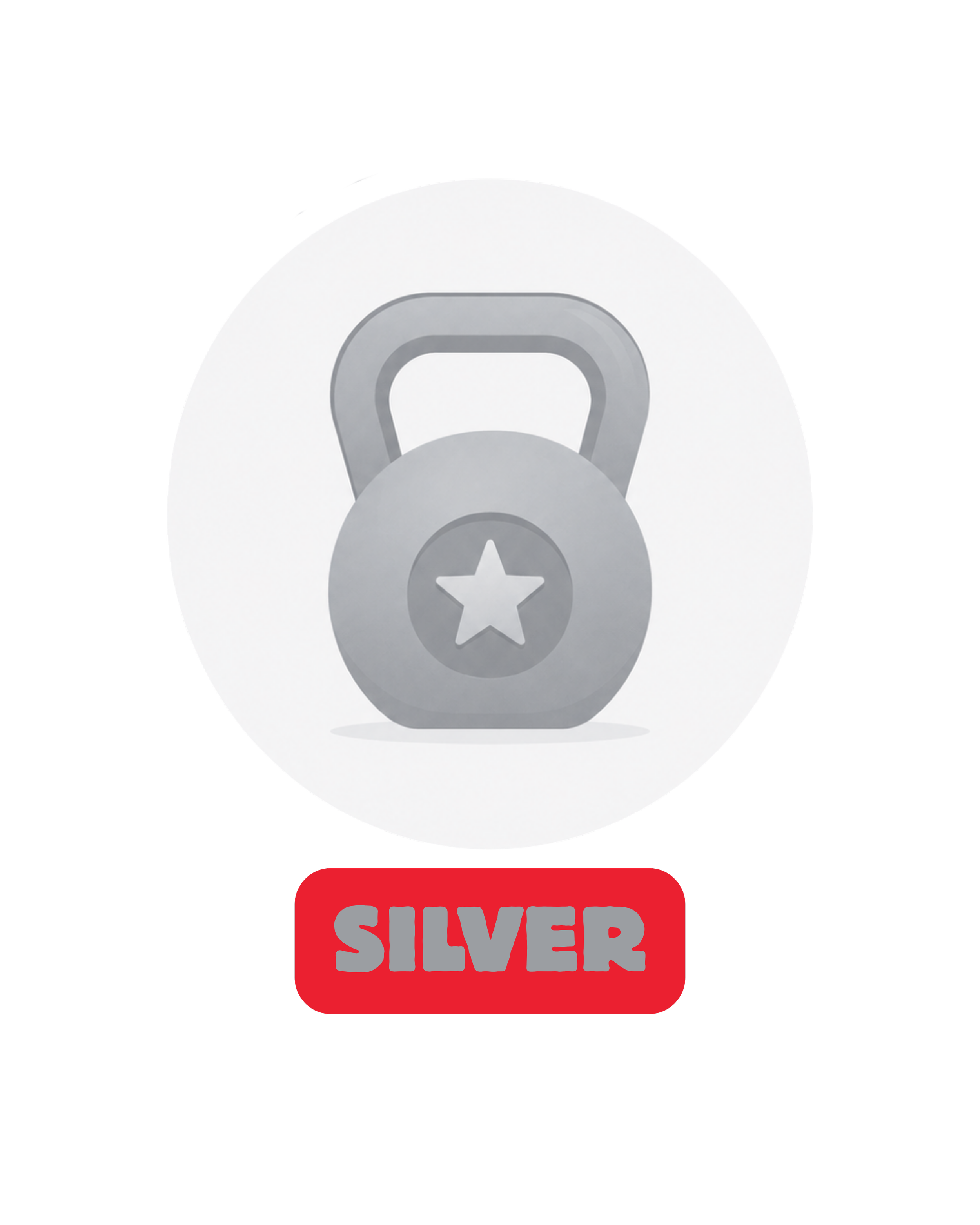 Online Silver Package (3 Months)