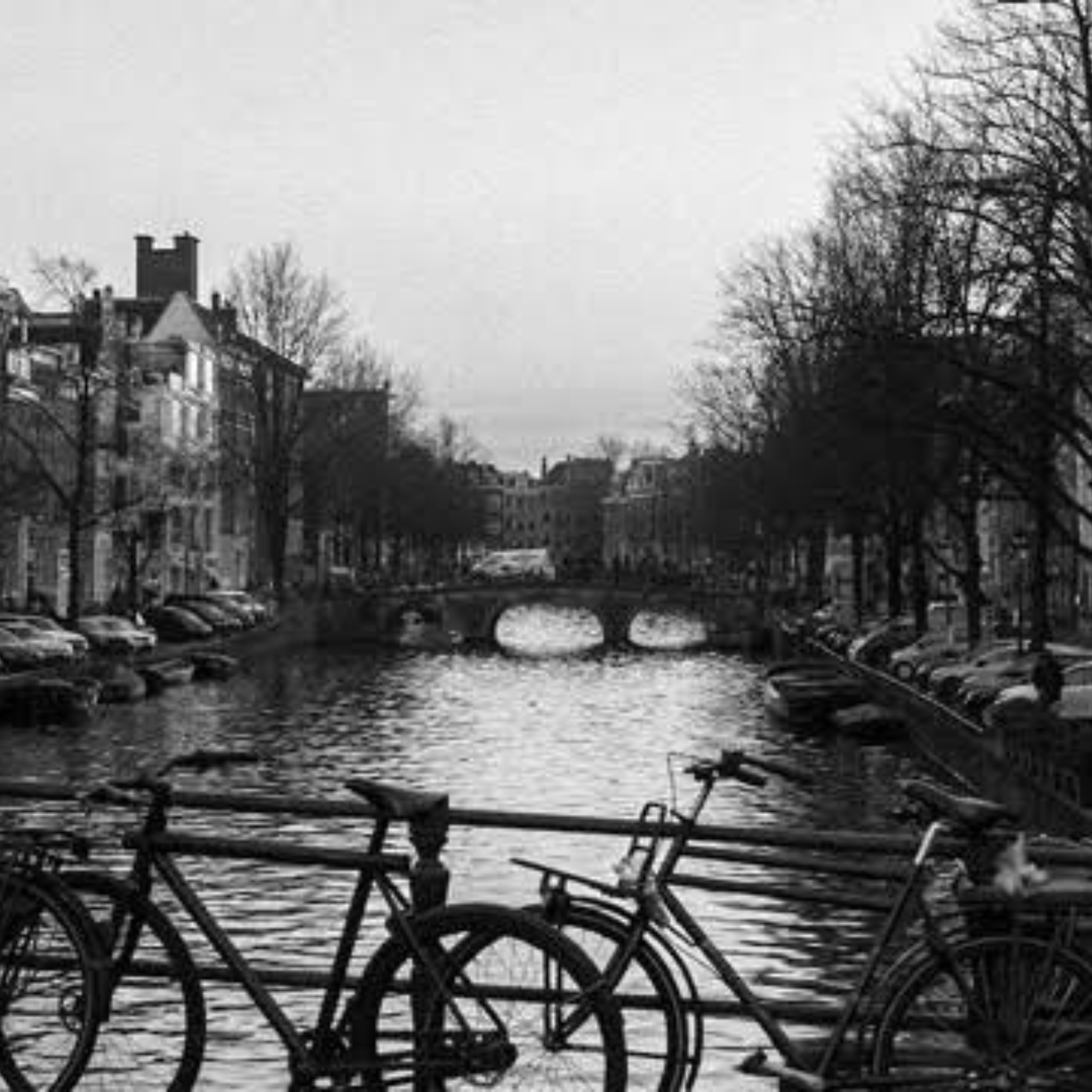 Restaurant Amsterdam near the canal Keizersgracht.