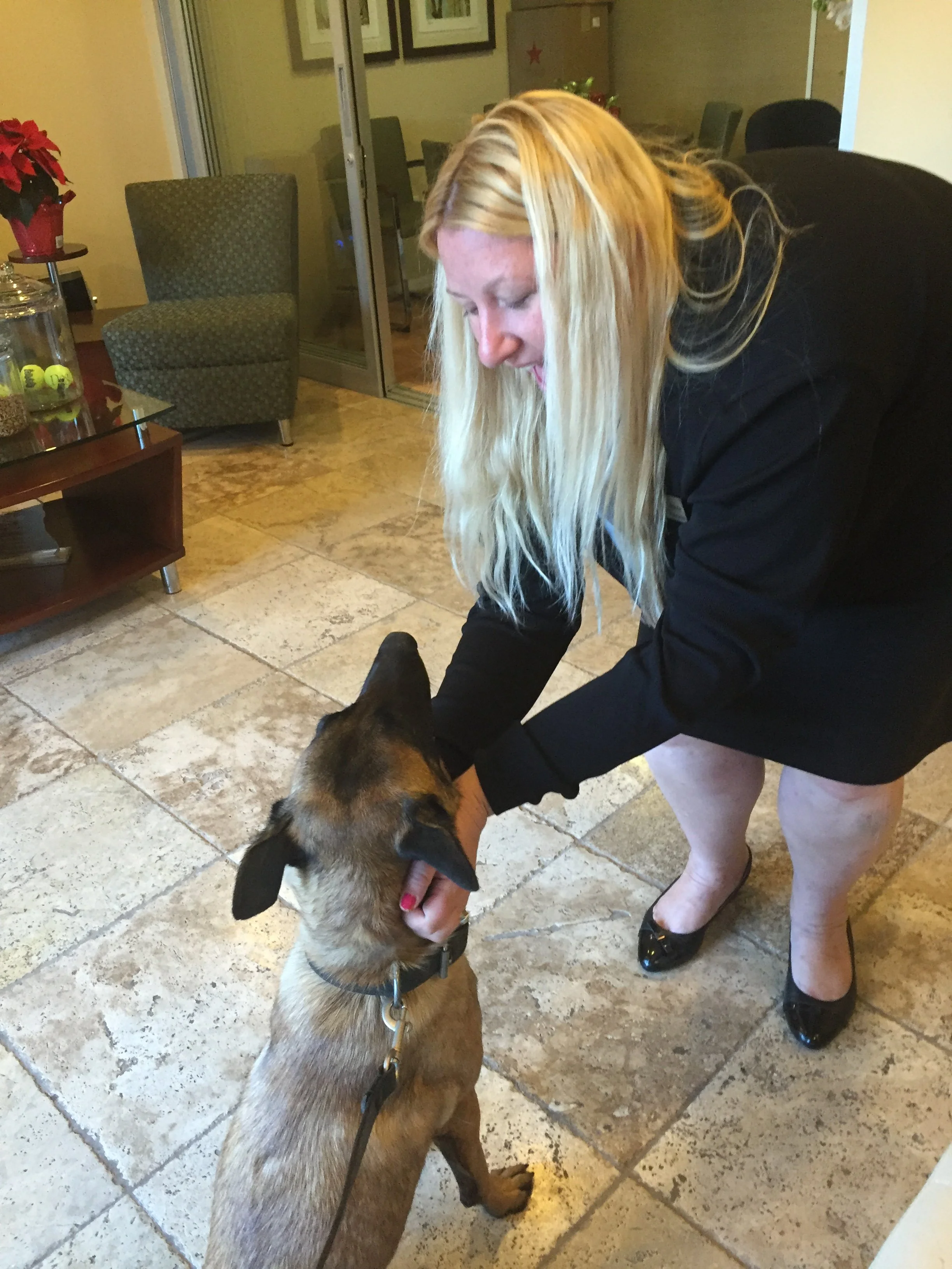 A property manager interacting with a Green Dog K9 detection dog before the start of an independent apartment bed bug inspection.