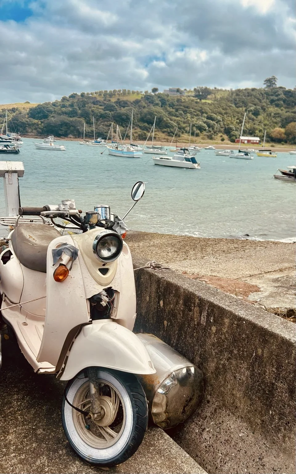 189_2026-03-31_waiheke.jpg