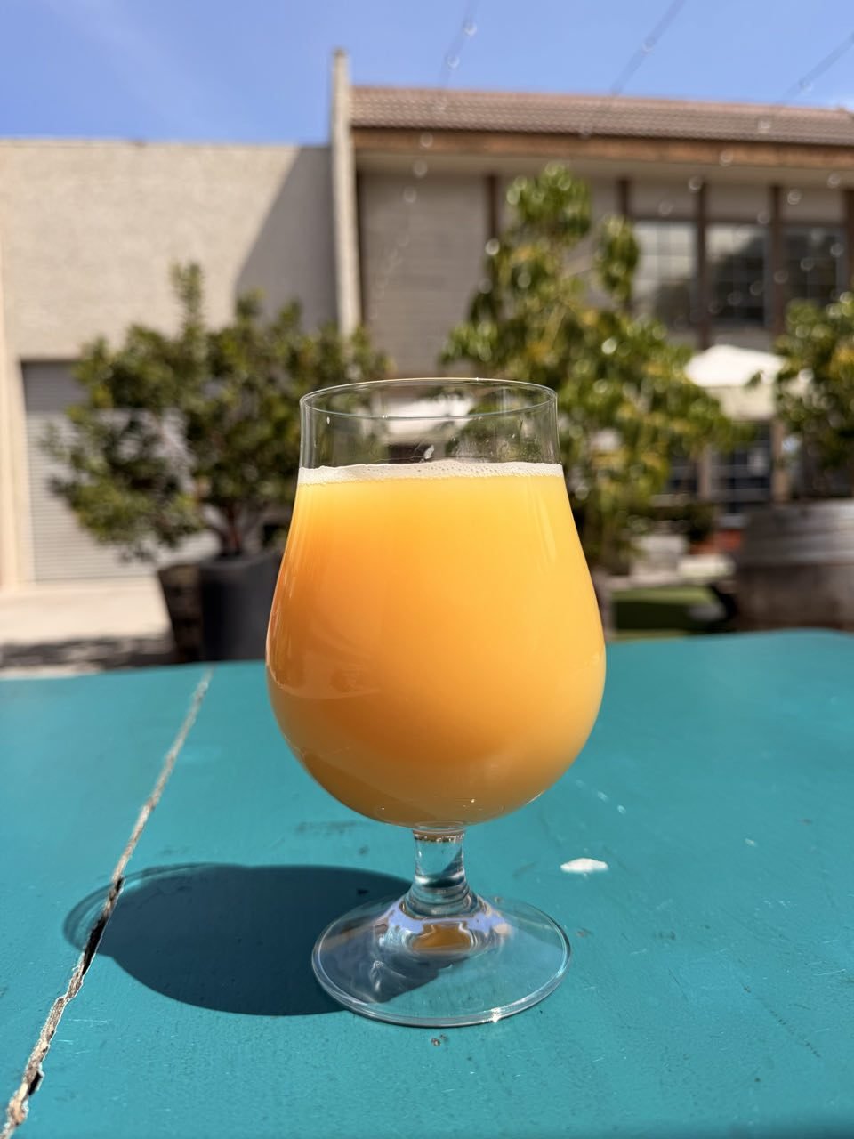 monkish-la-layover.jpg