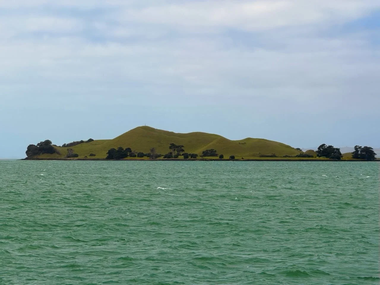 174_2026-03-31_auckland.jpg