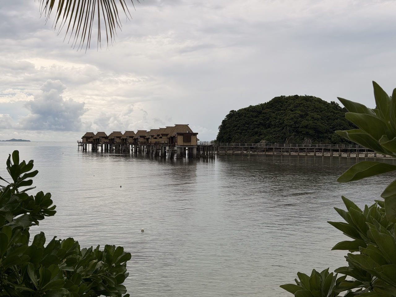 247_2026-04-05_nadroga-navosa.jpg