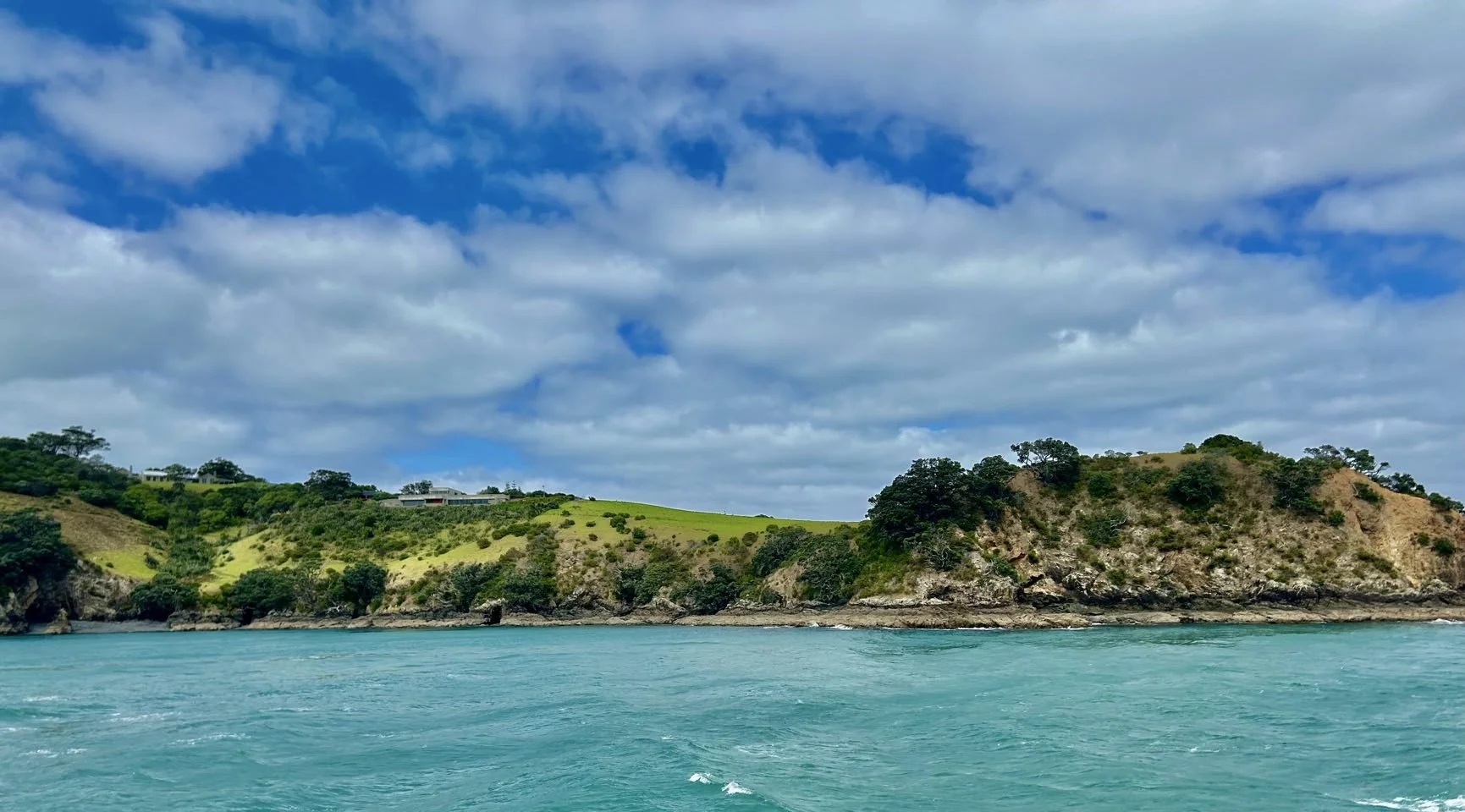 201_2026-03-31_waiheke.jpg