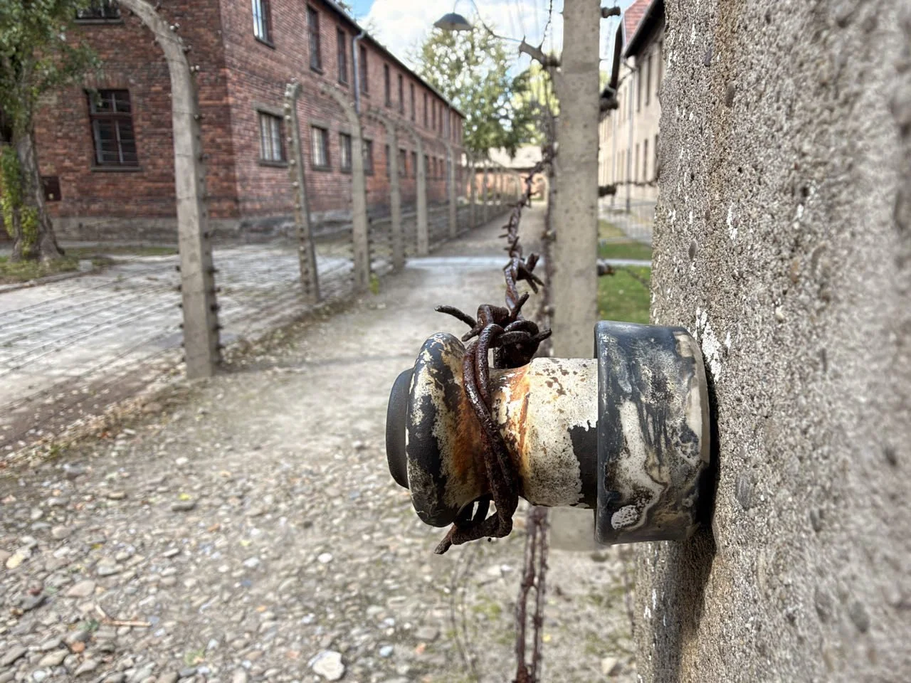048_2026-08-23_oswiecim.jpg