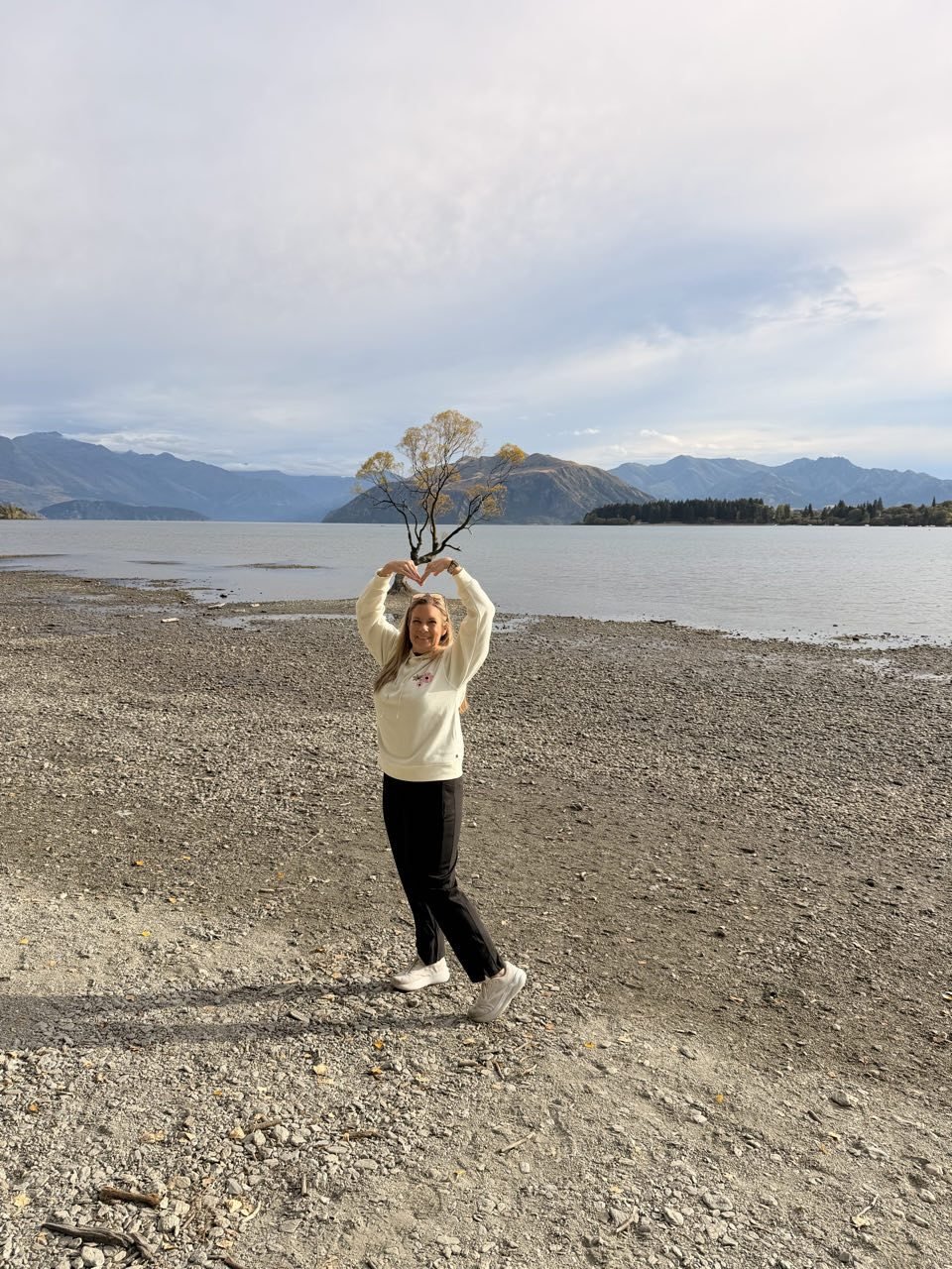 wanaka-tree.jpg
