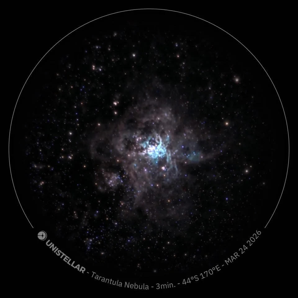 044_2026-03-24_chameleon-star-gazing-the-dark-sky-proje.jpg