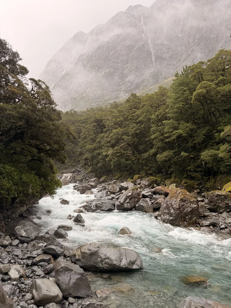 107_2026-03-27_fiordland-national-park.jpg